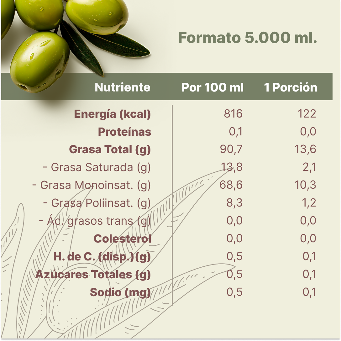 Aceite de Oliva extra virgen Huasco 2 x 5000 ml-4