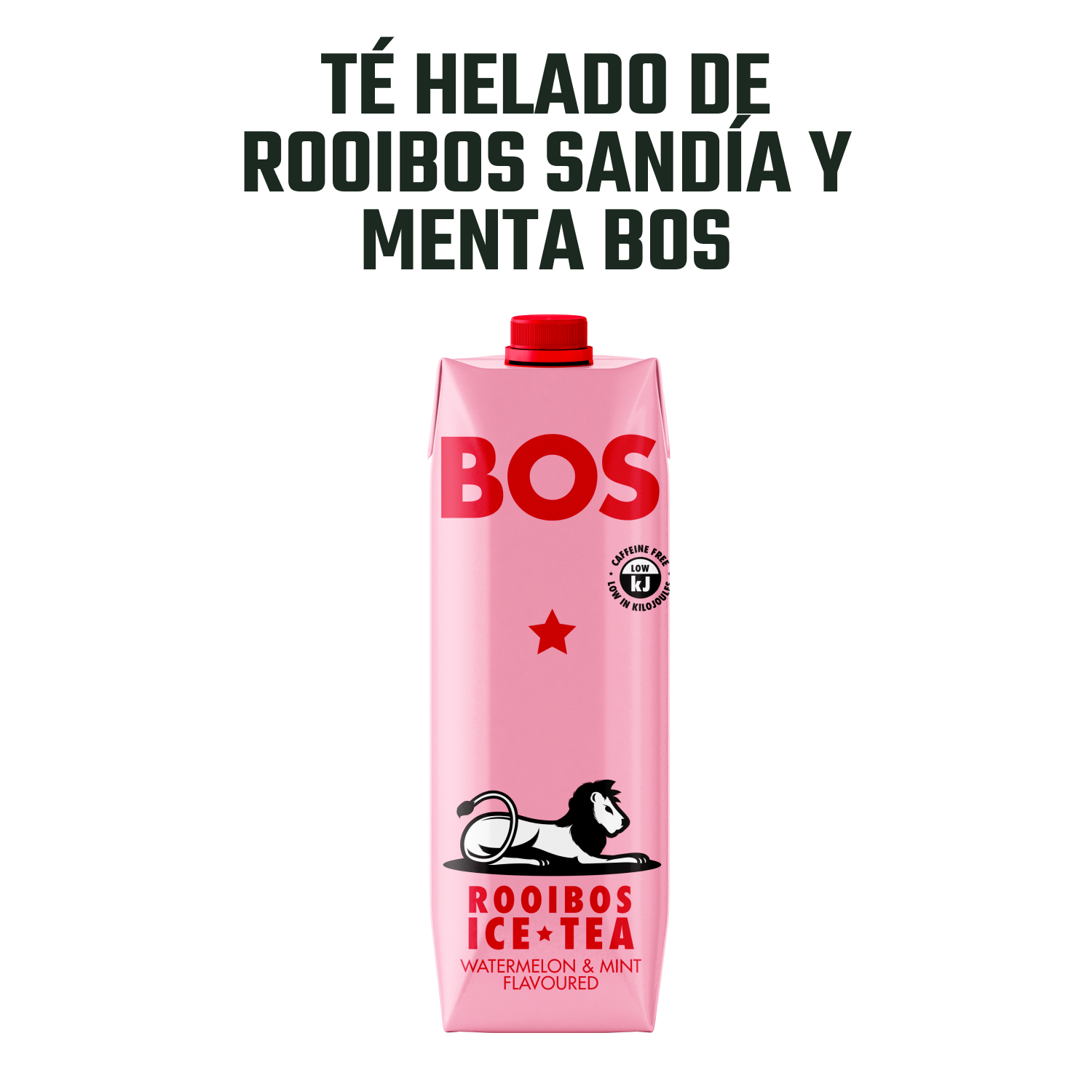 Té Helado de Rooibos Sandía y Menta BOS Tetra 1 x 1000 ml-2