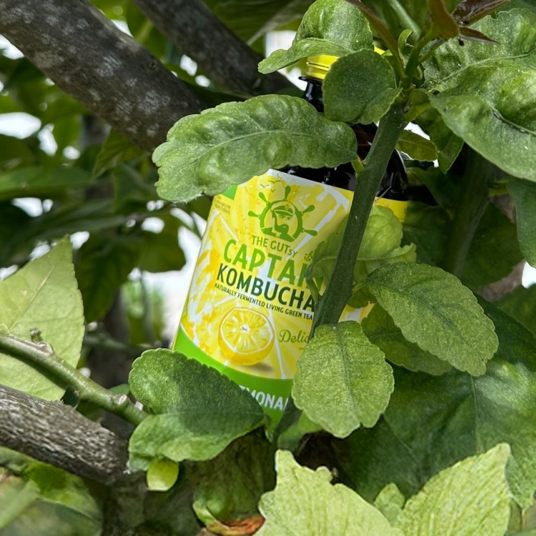 Kombucha Limonada Gutsy Captain - 400 ml -3
