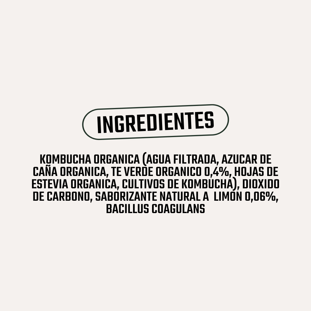 Kombucha Limonada Gutsy Captain - 400 ml -5