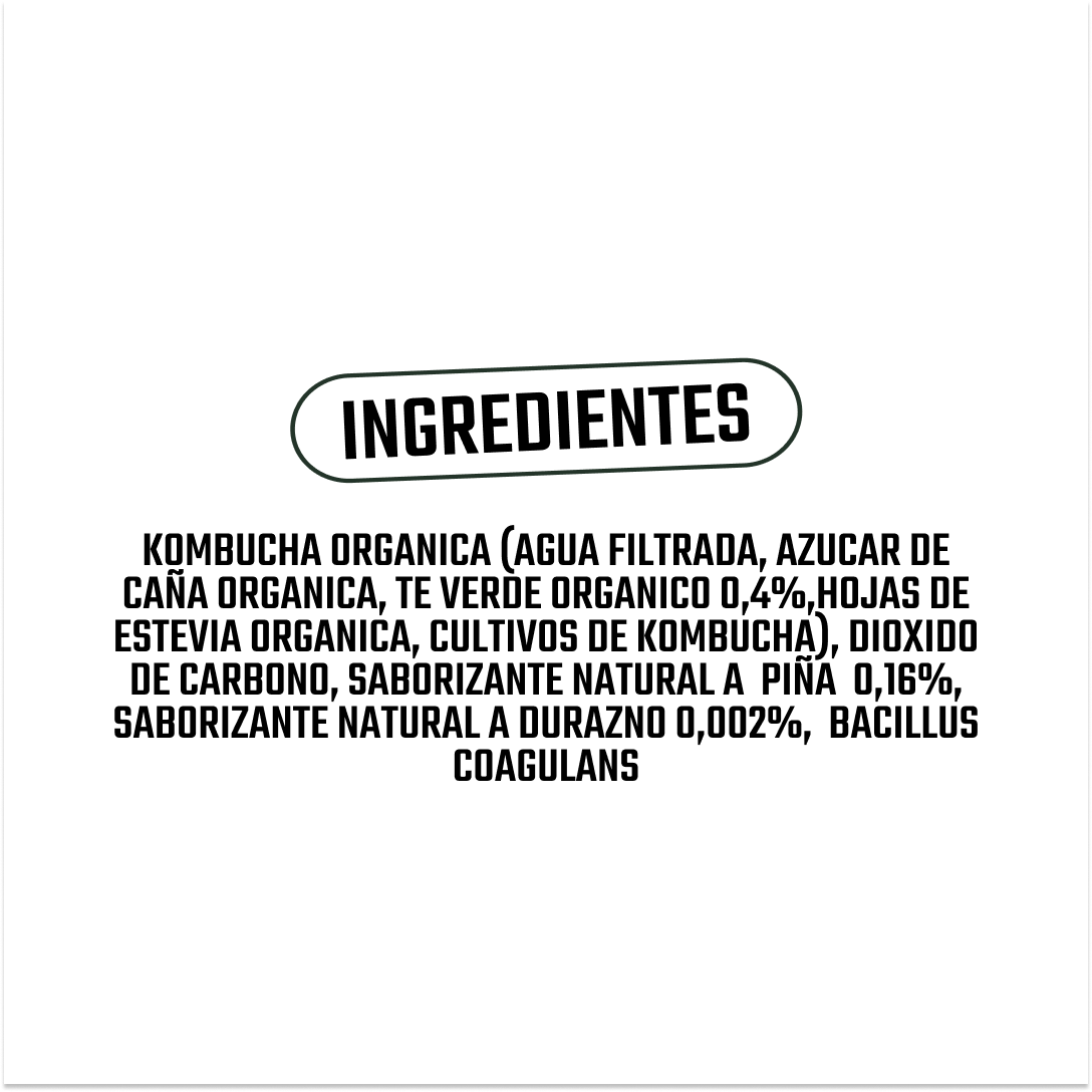 Kombucha Piña Durazno Gutsy Captain - 400 ml -5