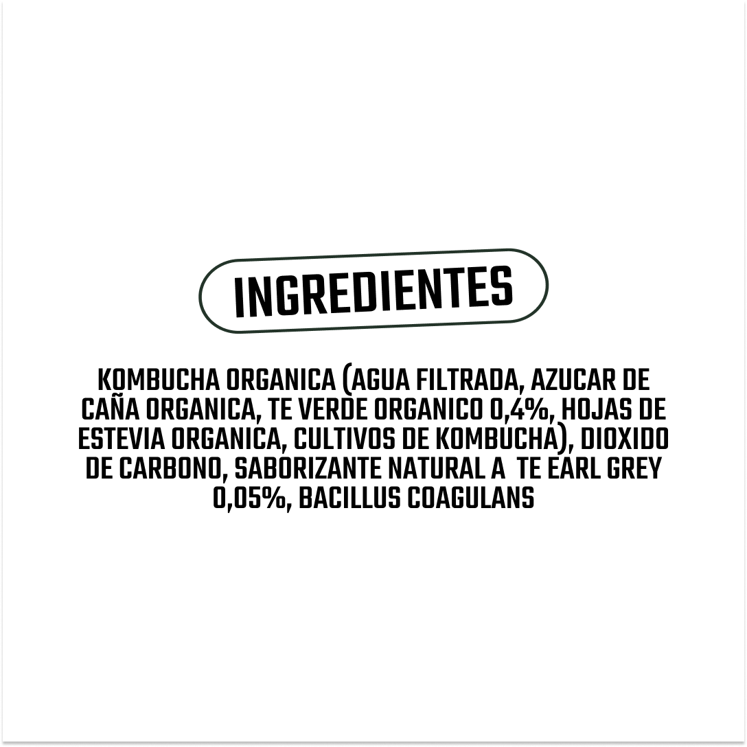 Kombucha Original Gutsy Captain - 400 ml -5