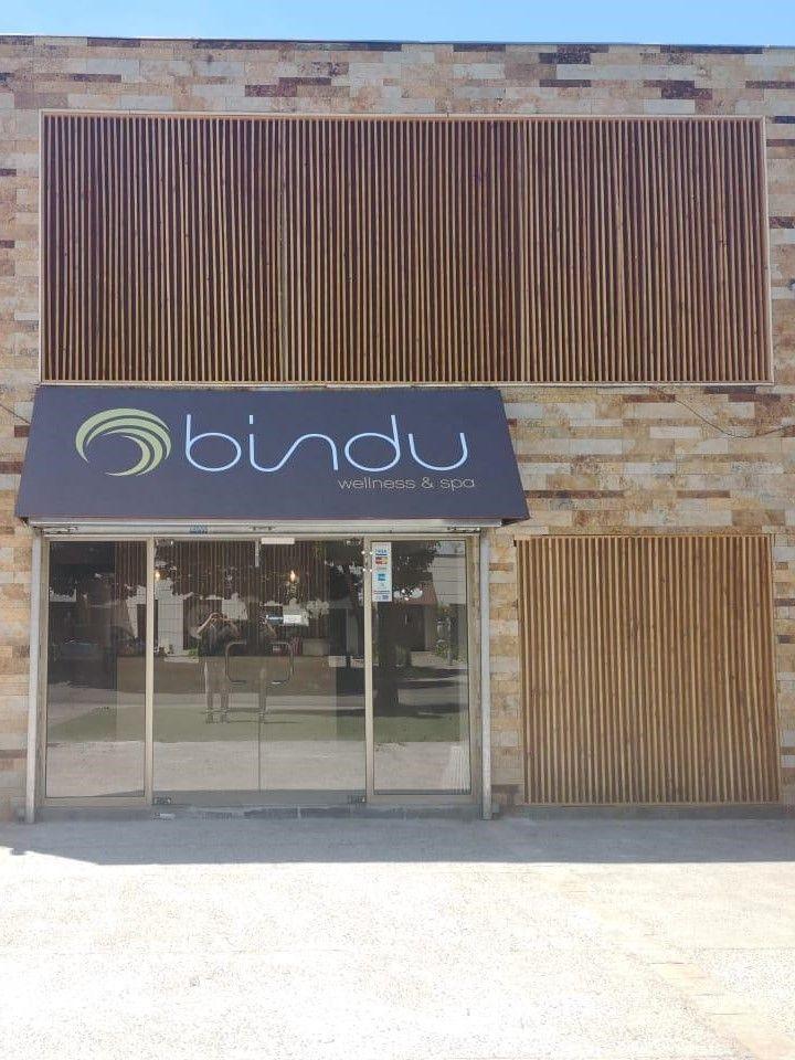 Masaje Bindu Integral-2