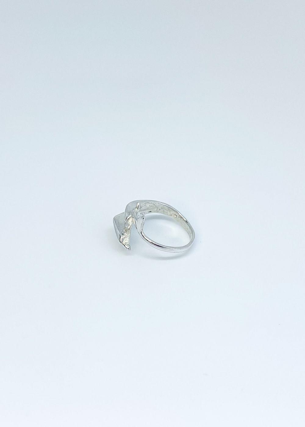 Anillo delfines en plata lisa italiana 925-2