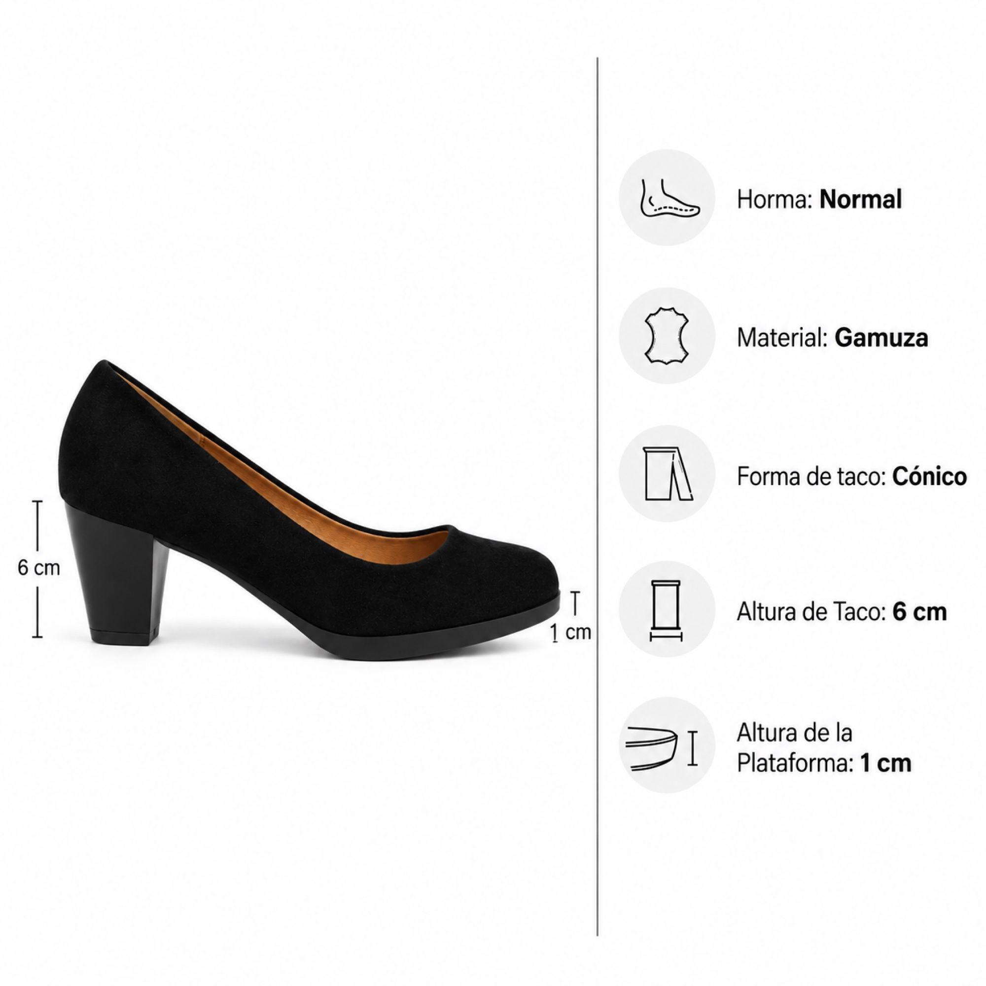 Zapato de Mujer Formal Gamuza Taco Cónico 2652-6