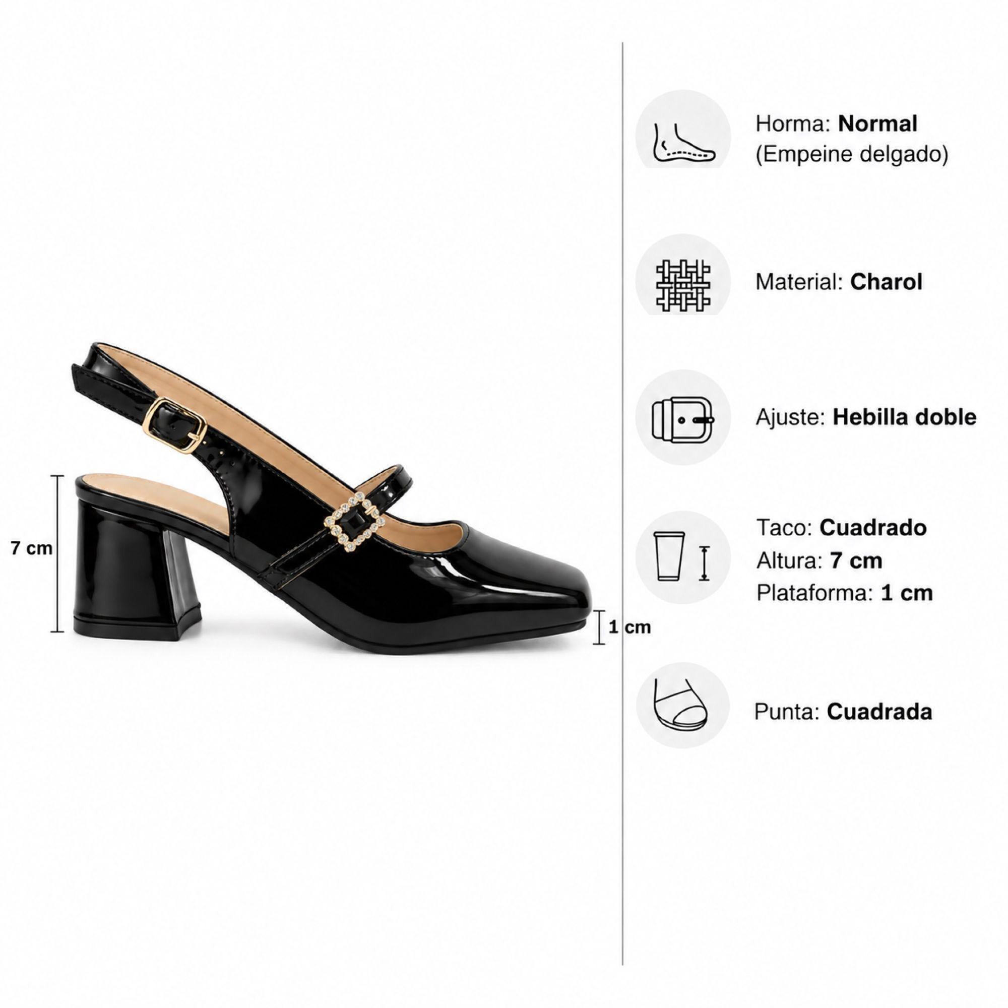 Zapato Charol Mujer Mary Jane Tacón Cuadrado H2705 Negro-6