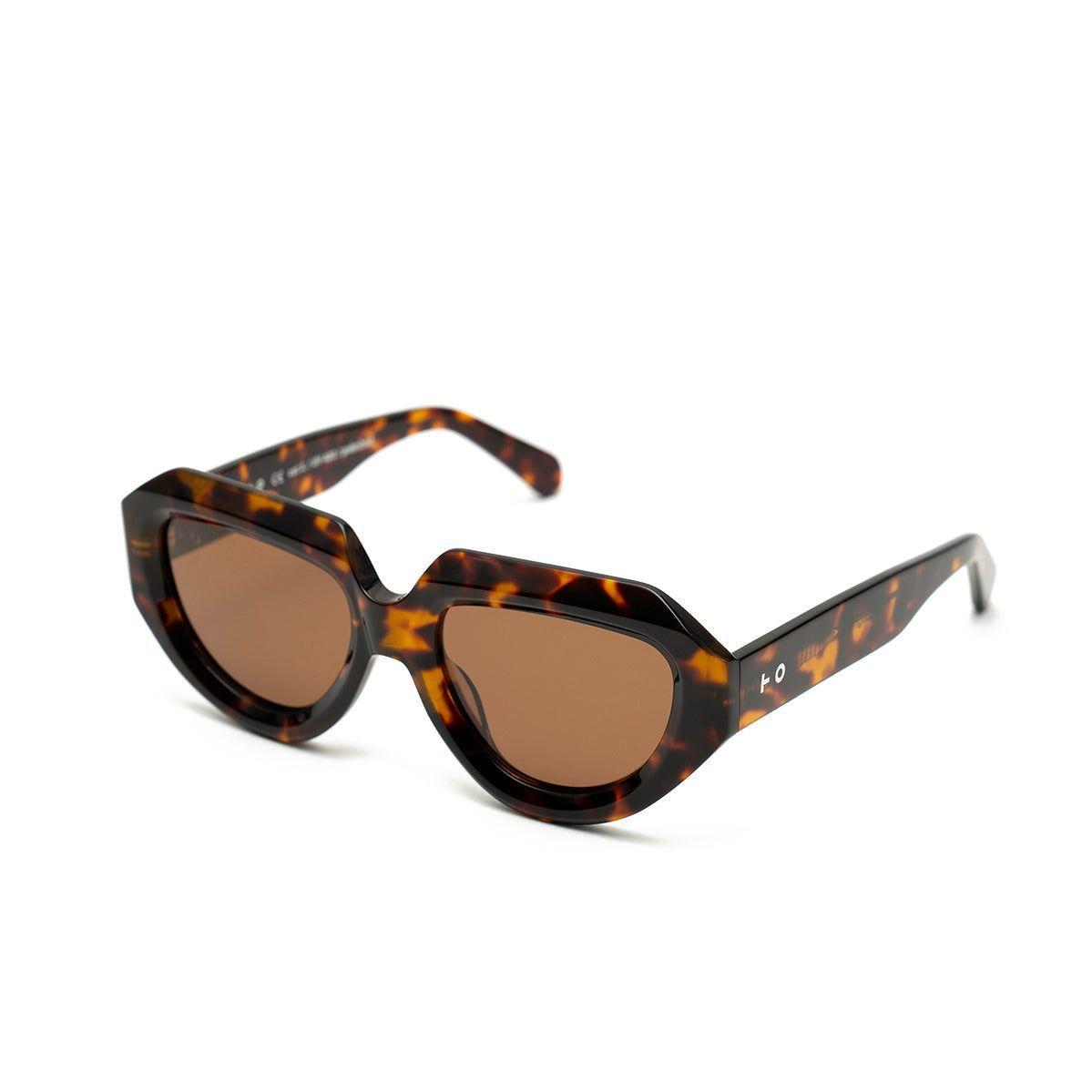 Lauryn Tortoise -1
