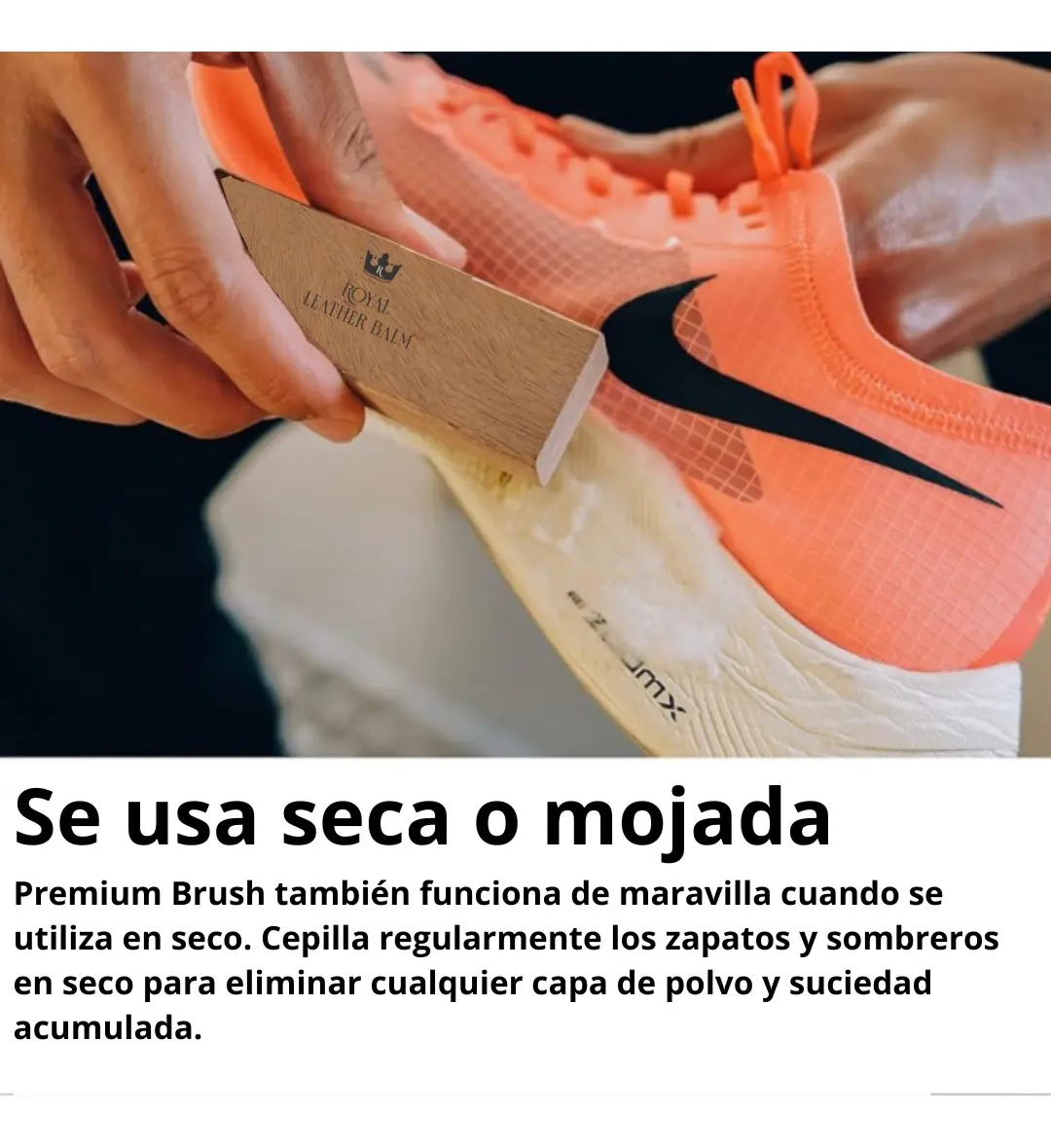 Escobilla Zapatilla Suela Mediasuela Tela Dureza Media-9
