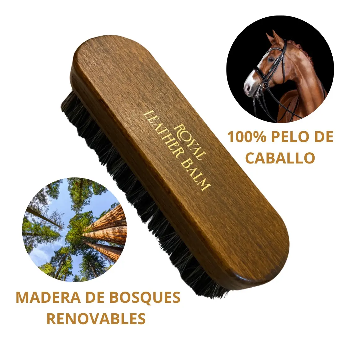 Escobilla Calzado Ropa Alemana Gran Tama o Pelo De Caballo-3