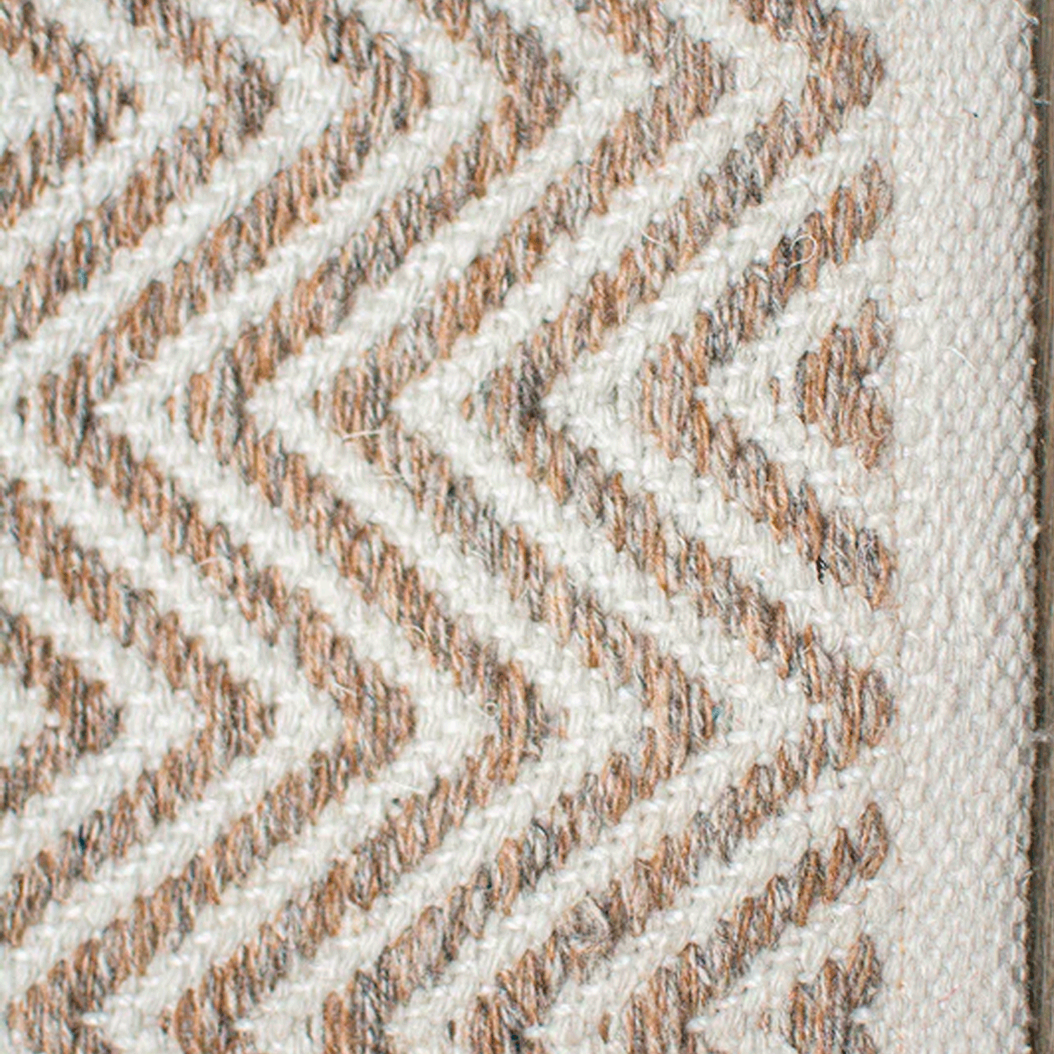 Alfombra BAZHARS Pet Gall 1478 200x300 cm Beige-7