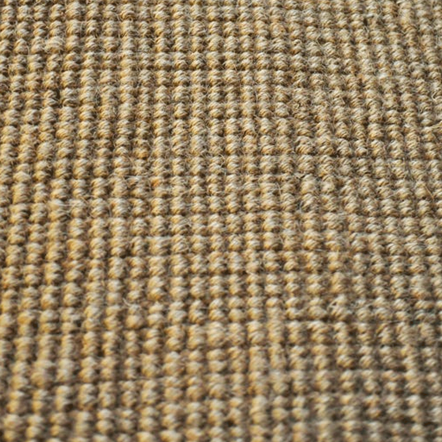 Alfombra BAZHARS Bab Black 270x370 cm Beige-5