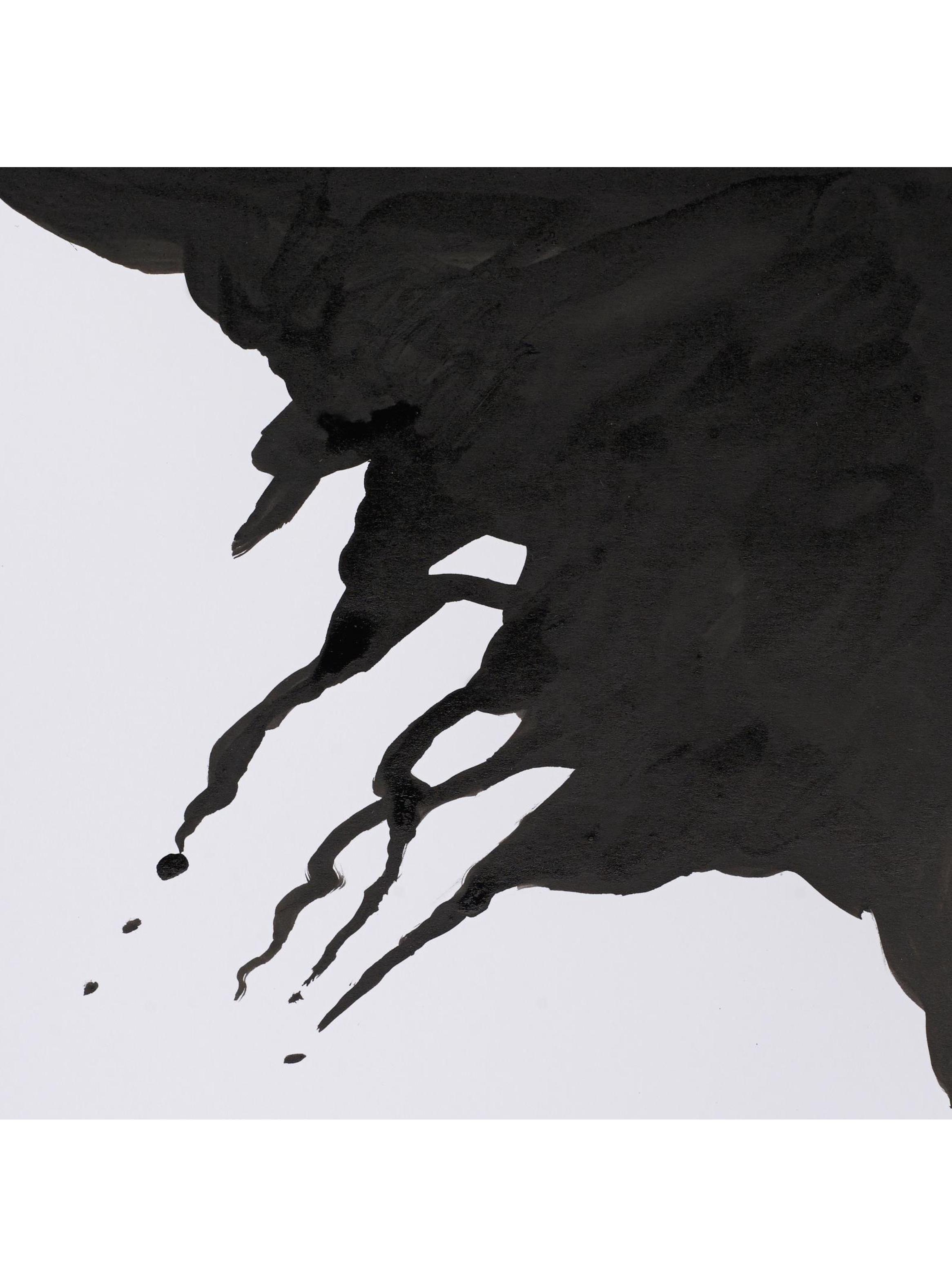 Tinta Para Dibujo Liquid Indian Winsor & Newton 30ml-2