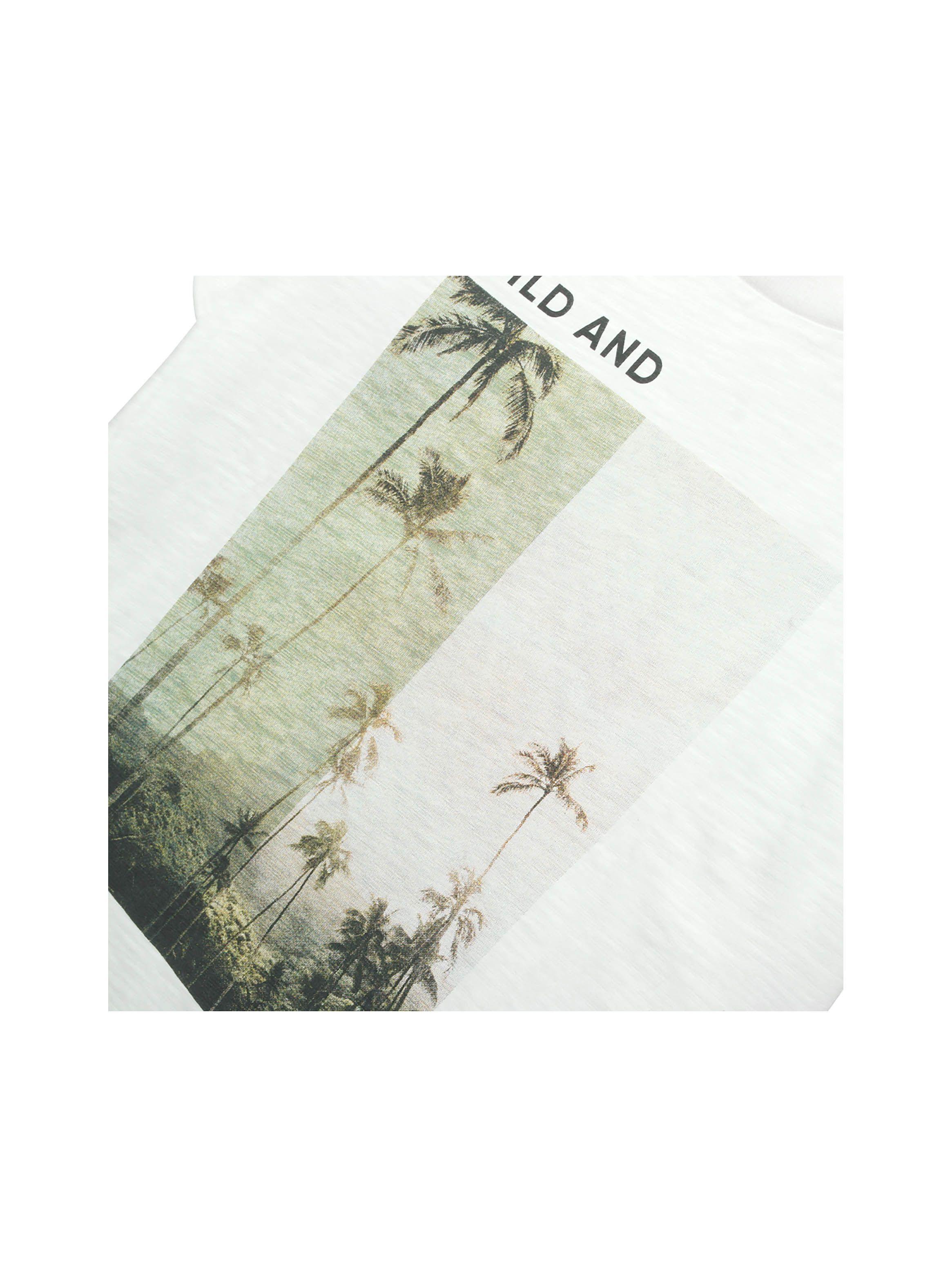 Polera De Niño Foto Blanco (2 A 12 Años) Colloky-2