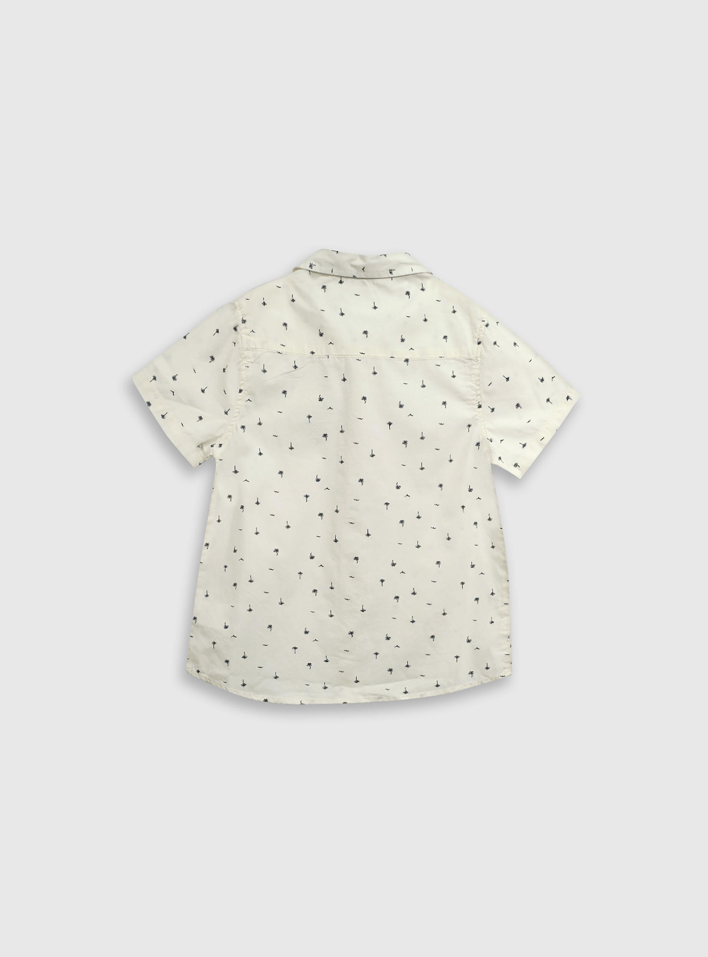 Camisa Niño Beige 54818 Colloky-1
