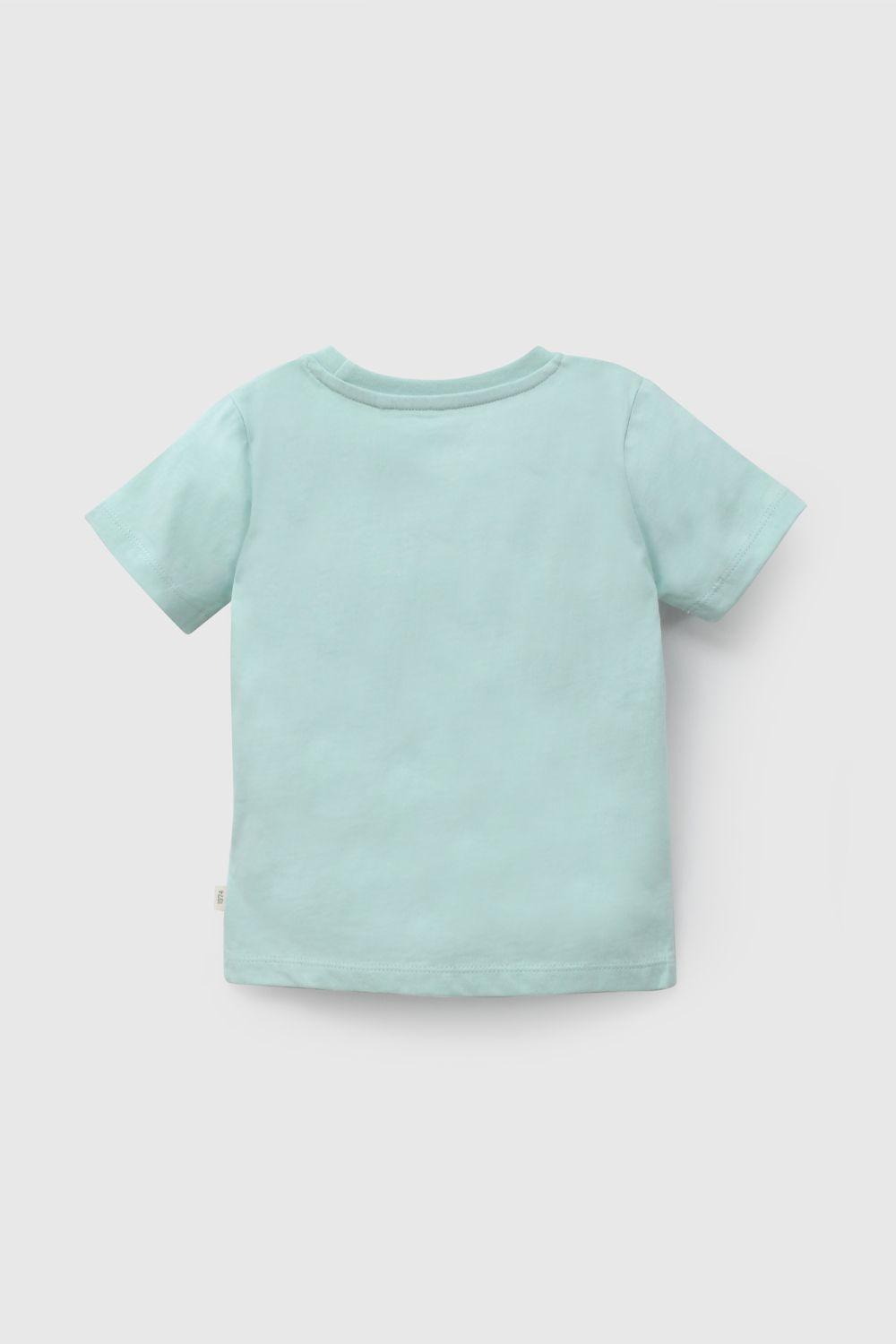 Polera Verde Tortugas De Niño Infantil talla 3/6 M a 24m/36 M-1
