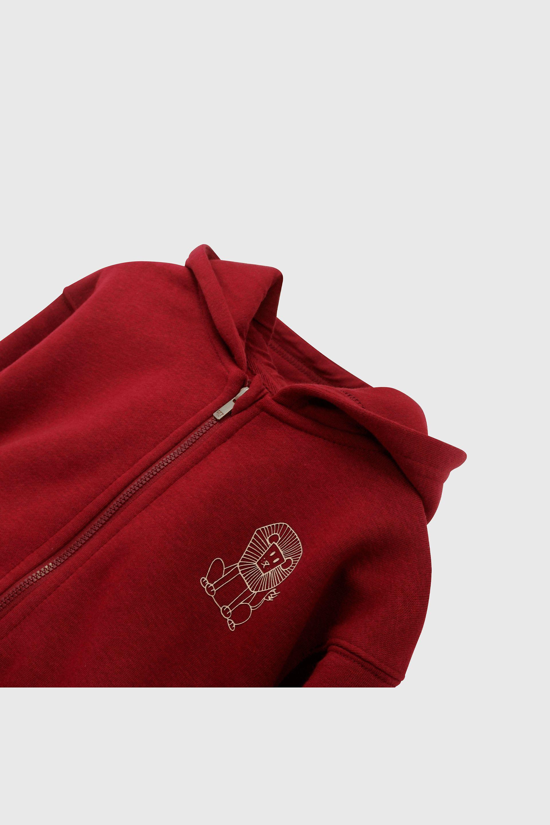 Polerón Rojo con Gorro Forrado de Jersey y Cierre para Niño-2