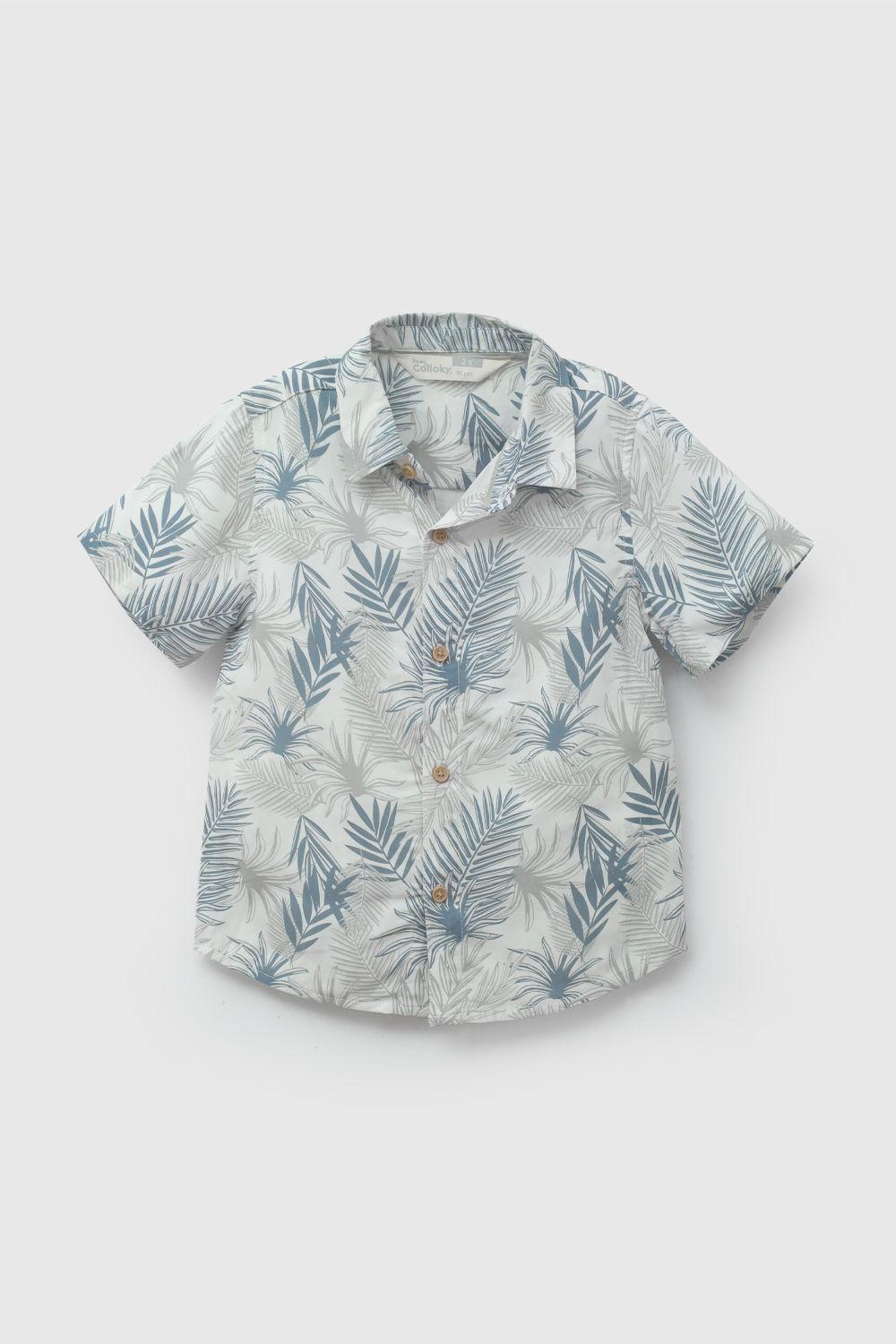 Camisa Niño Verde 58137 Colloky-0