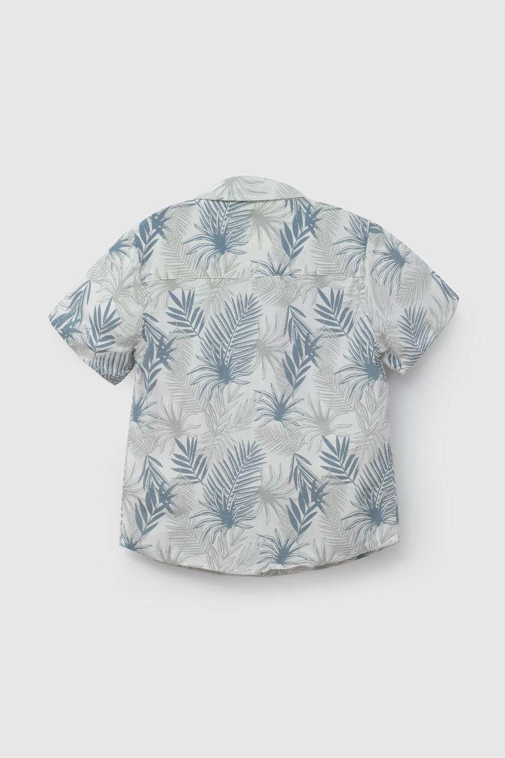 Camisa Niño Verde 58137 Colloky-1