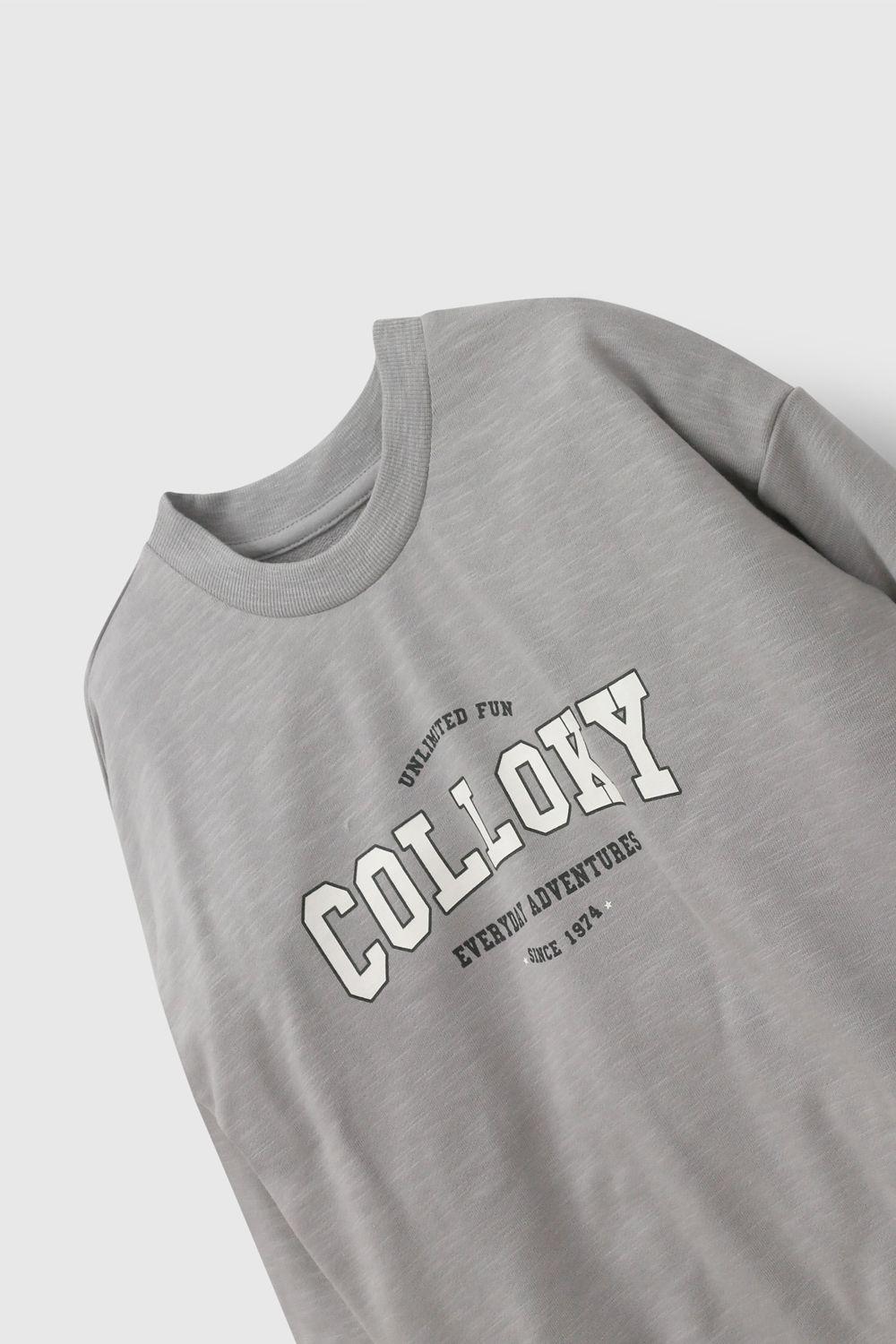 Polerón Gris Niño 7460 Colloky-2