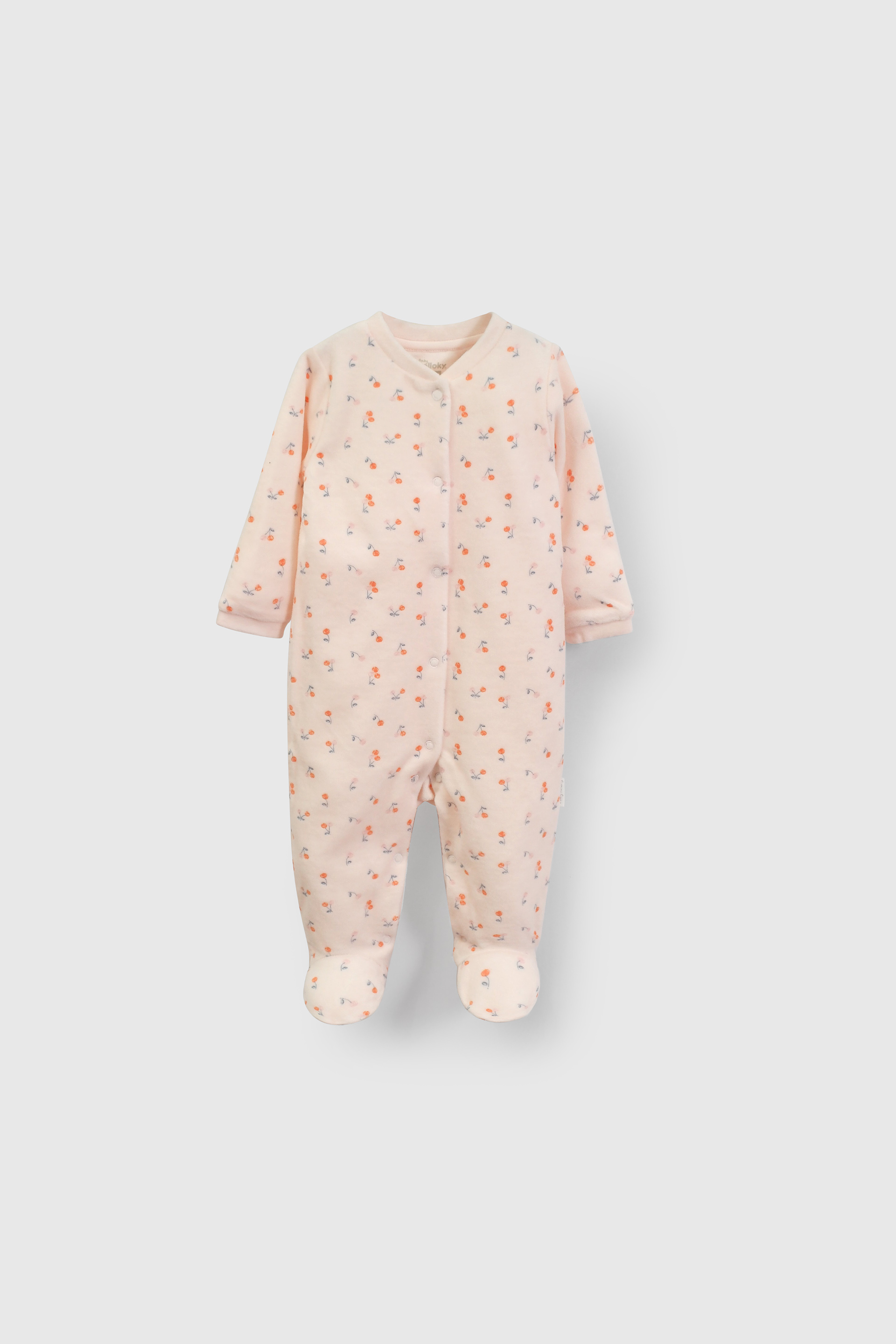 Osito Niña Rosado 56046 Colloky-2