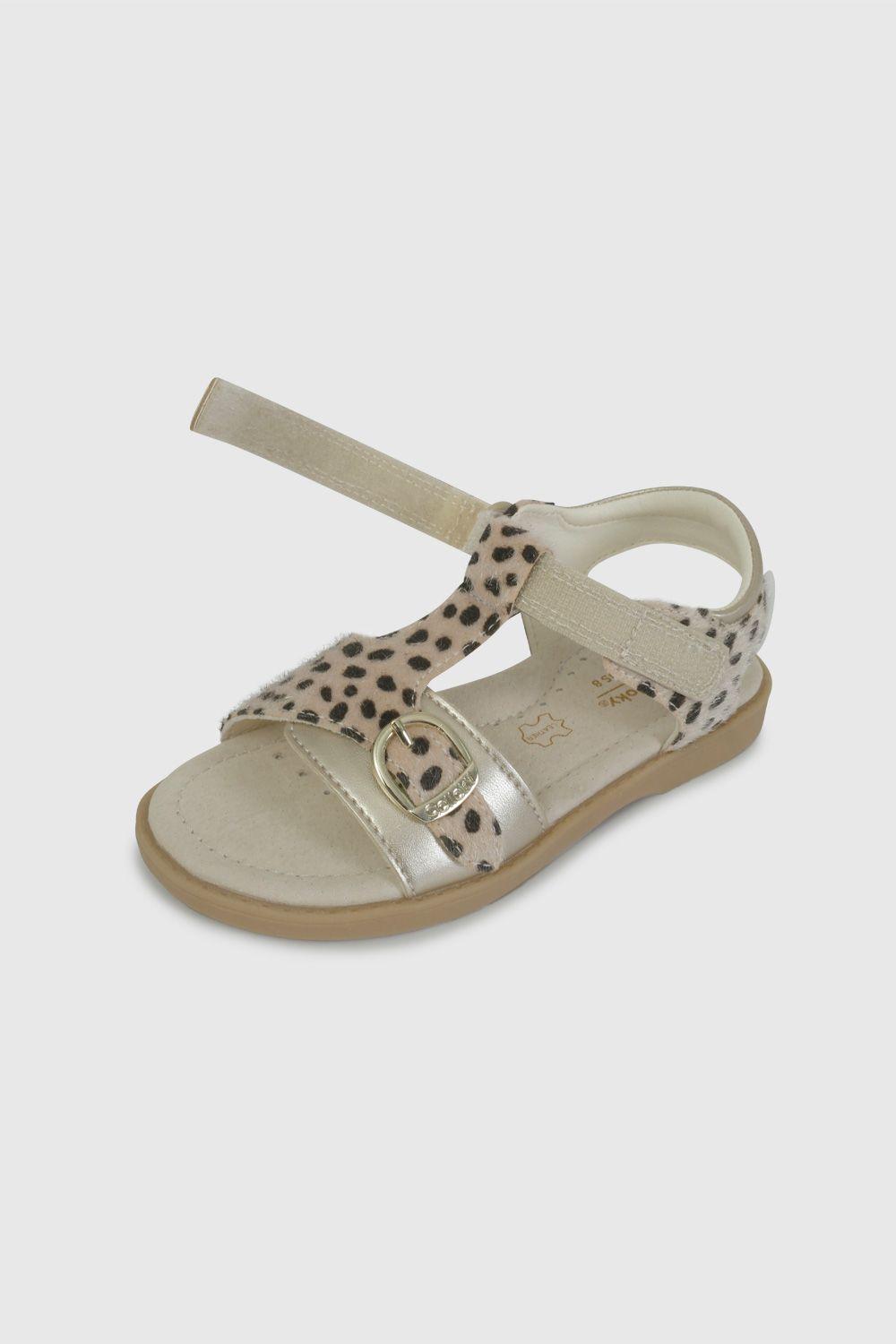 Sandalia de Vestir Dorada con Animal Print  43140224V26-5