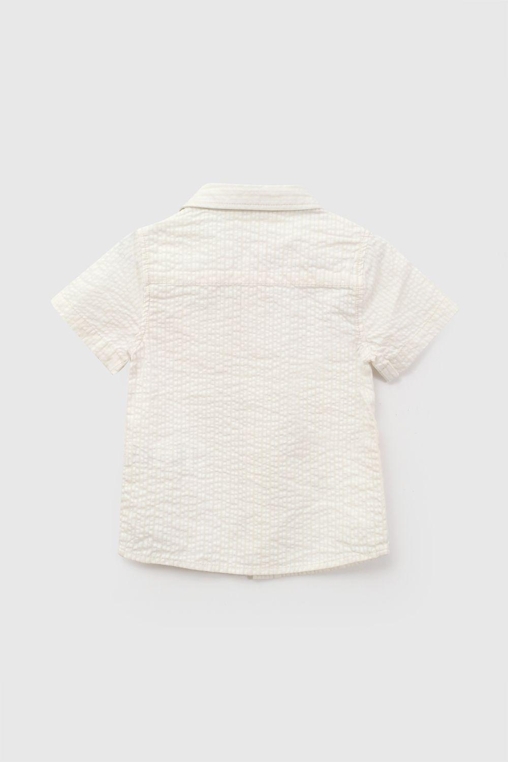 Camisa Manga Corta Amarillo Niño 6-9M a 4-5A Colloky-2
