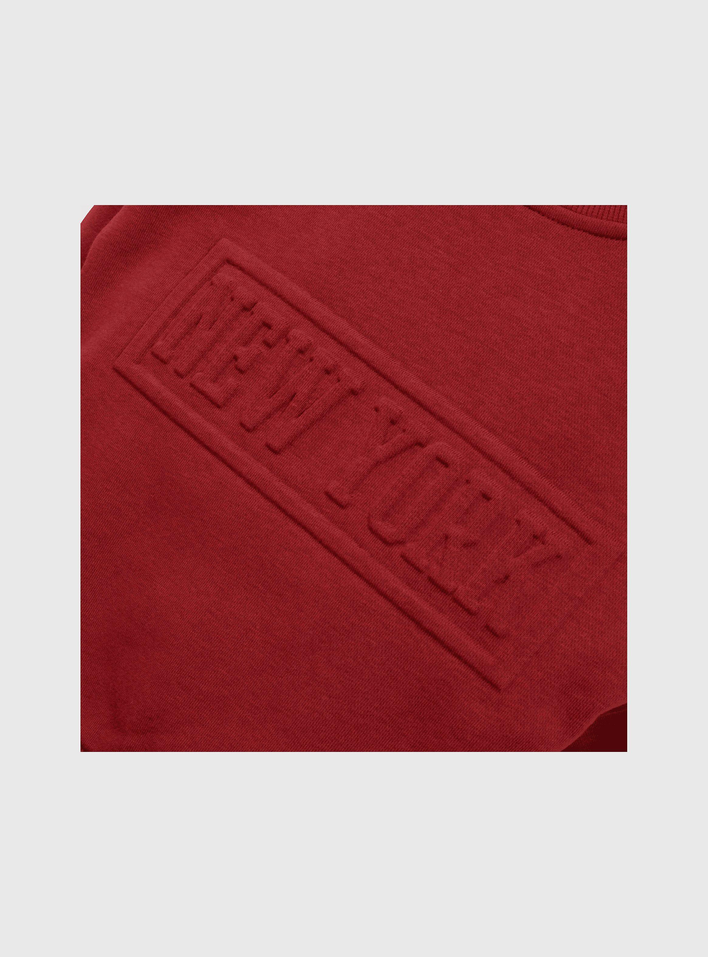 Polerón Niño Rojo 56424 Colloky-2