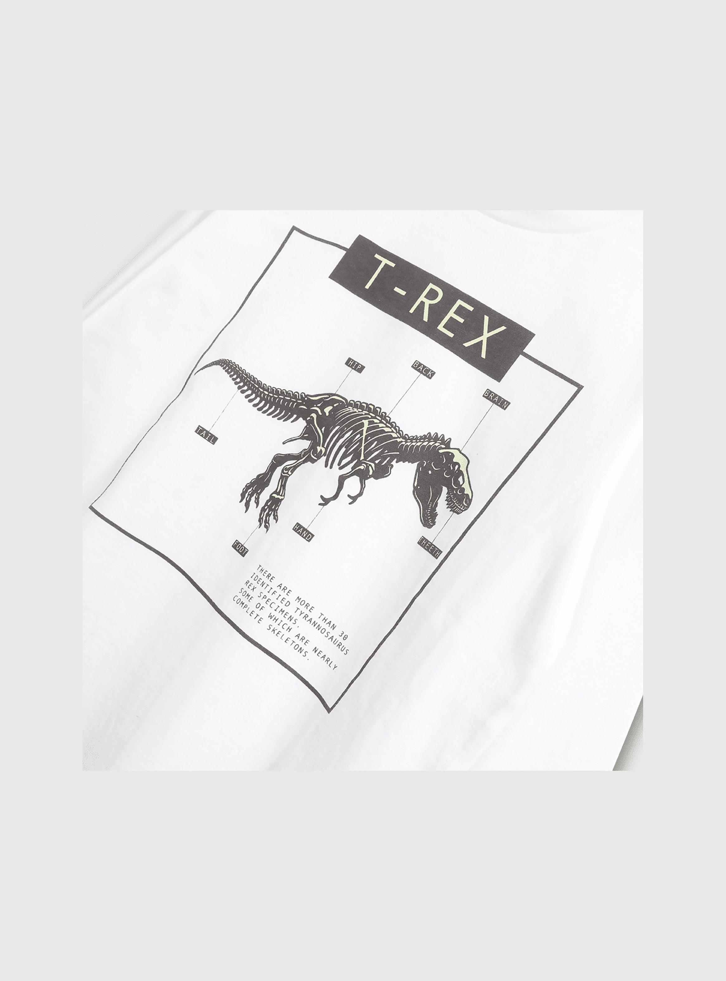 Polera Niño Blanco 54481 Colloky-2