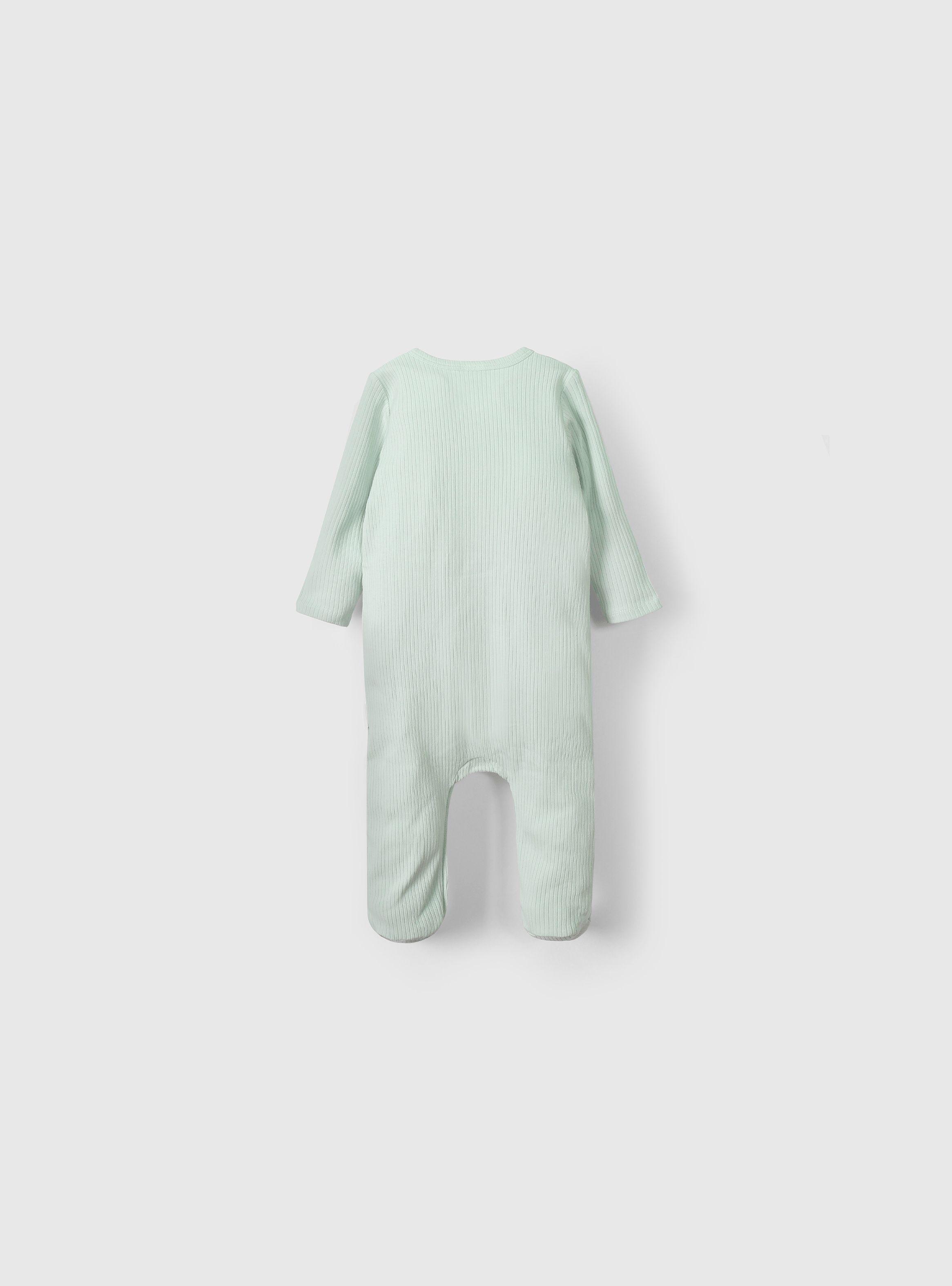 Osito Unisex Verde 55453 Colloky-1