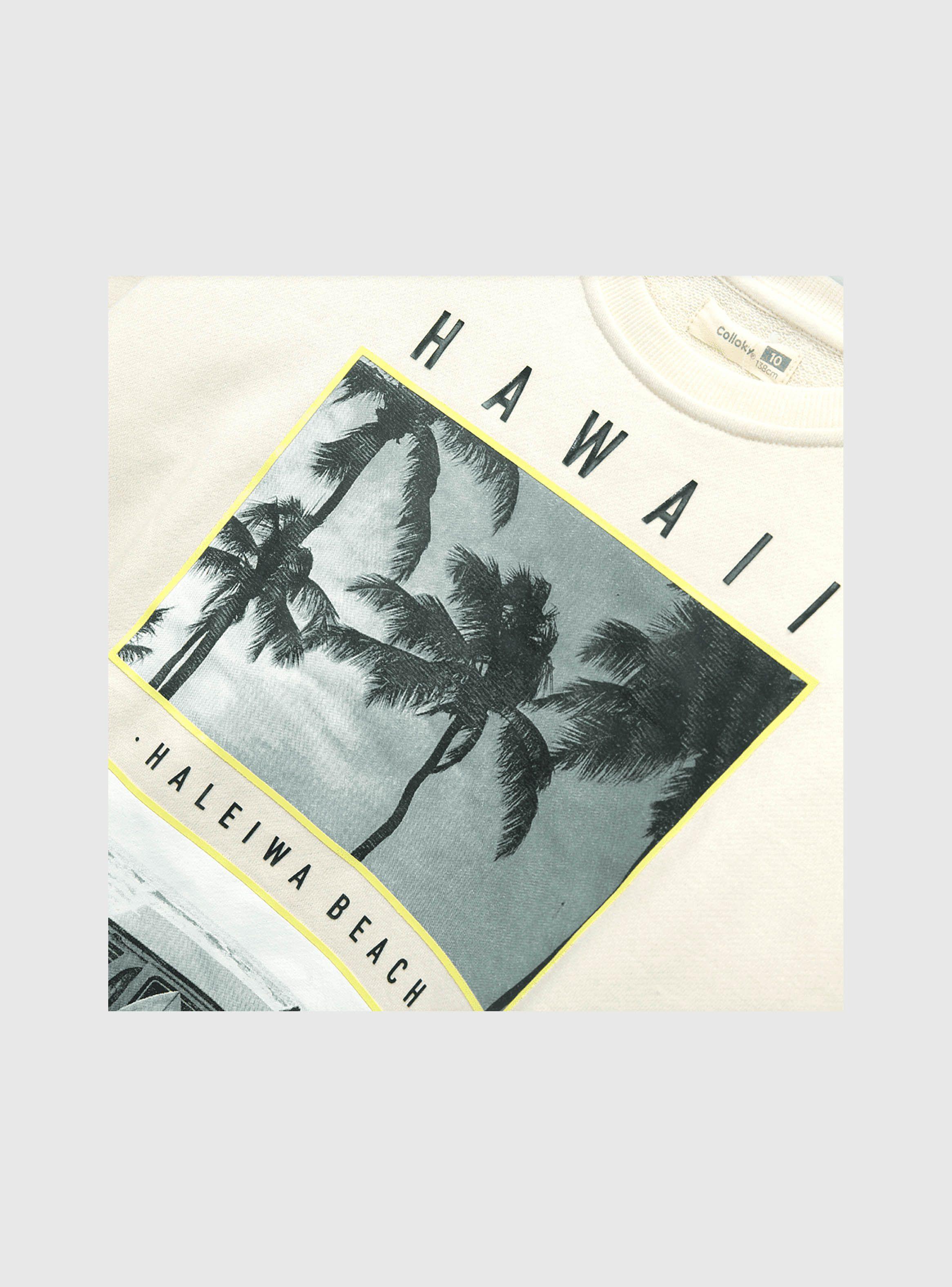 Polerón Niño Tropical Estampado Beige (2 A 12 Años) Colloky-2