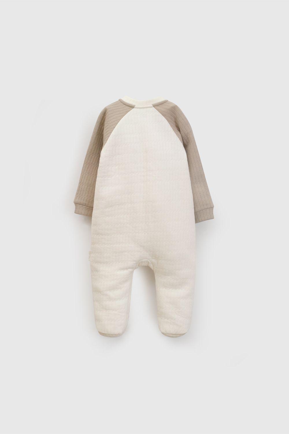 Oso Niño Cafe 7887 Colloky-1