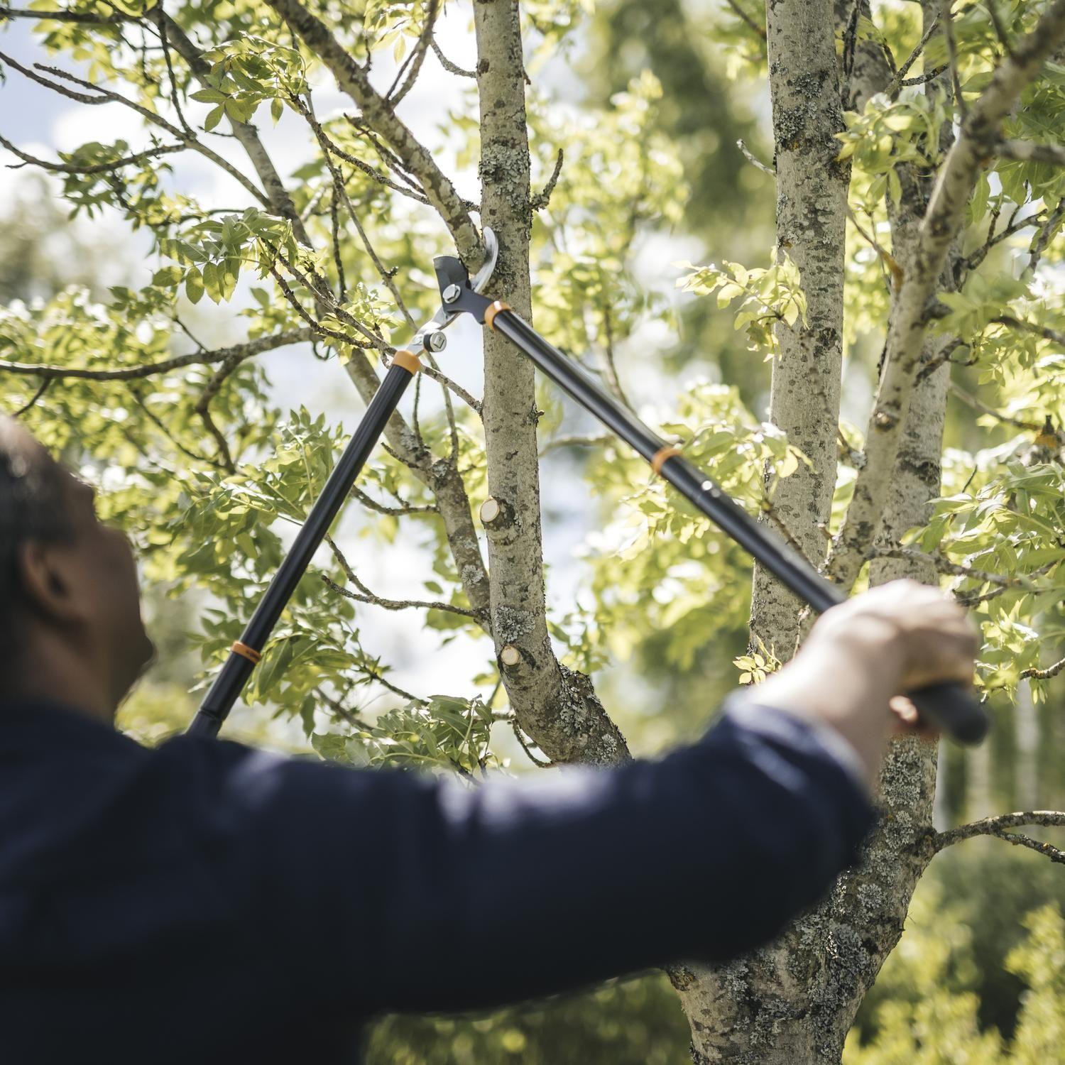 Tijerón de podar Cortarramas Extensible Fiskars corte angular-5