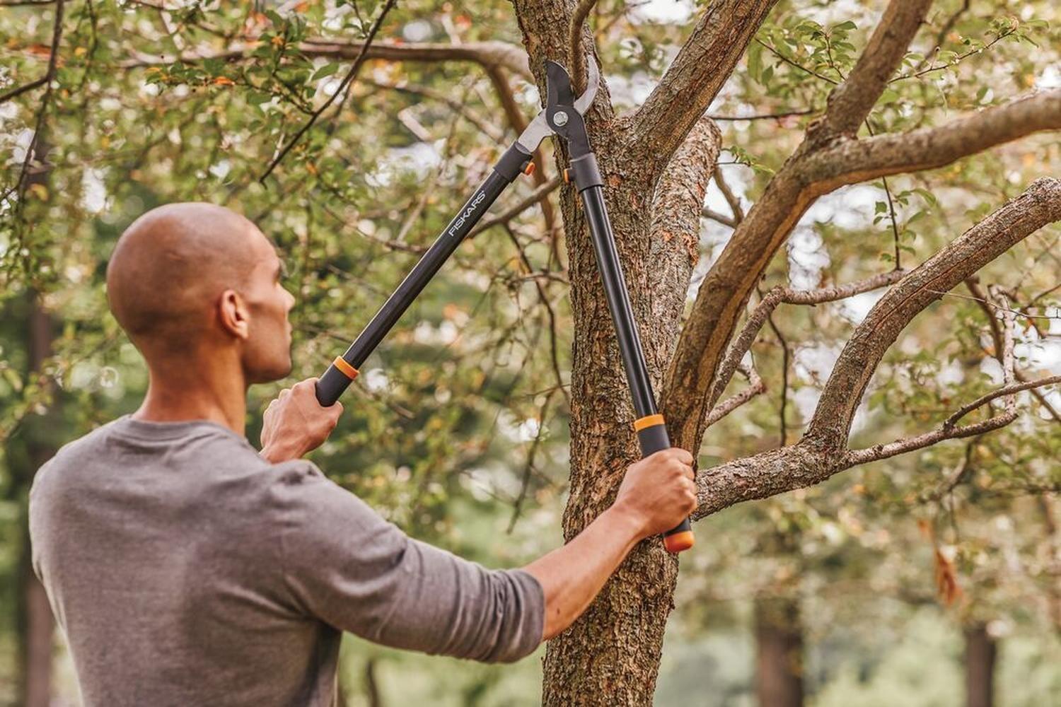 Tijerón de Podar Corte Bypass Fiskars 71 cm-5