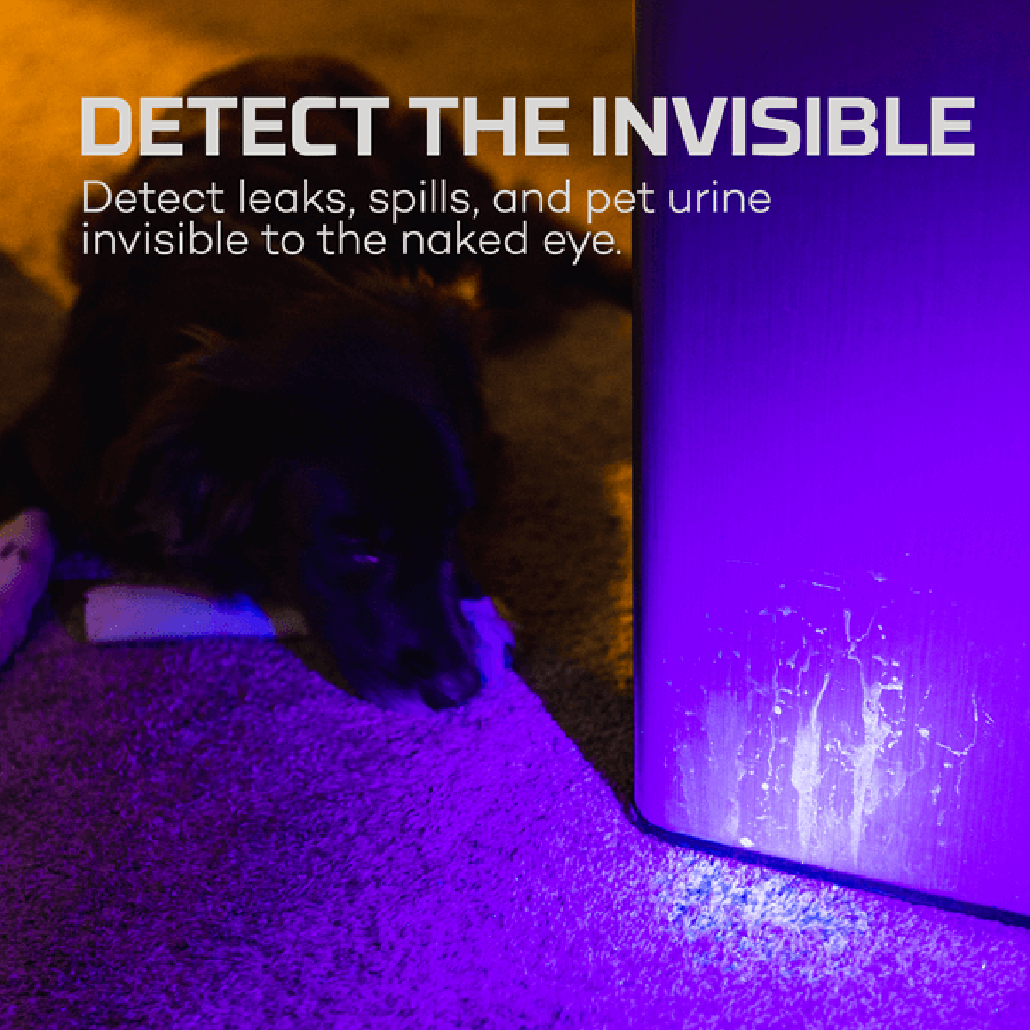 Linterna Torchy UV y BlackLight con tecnología UV-A de doble banda-7