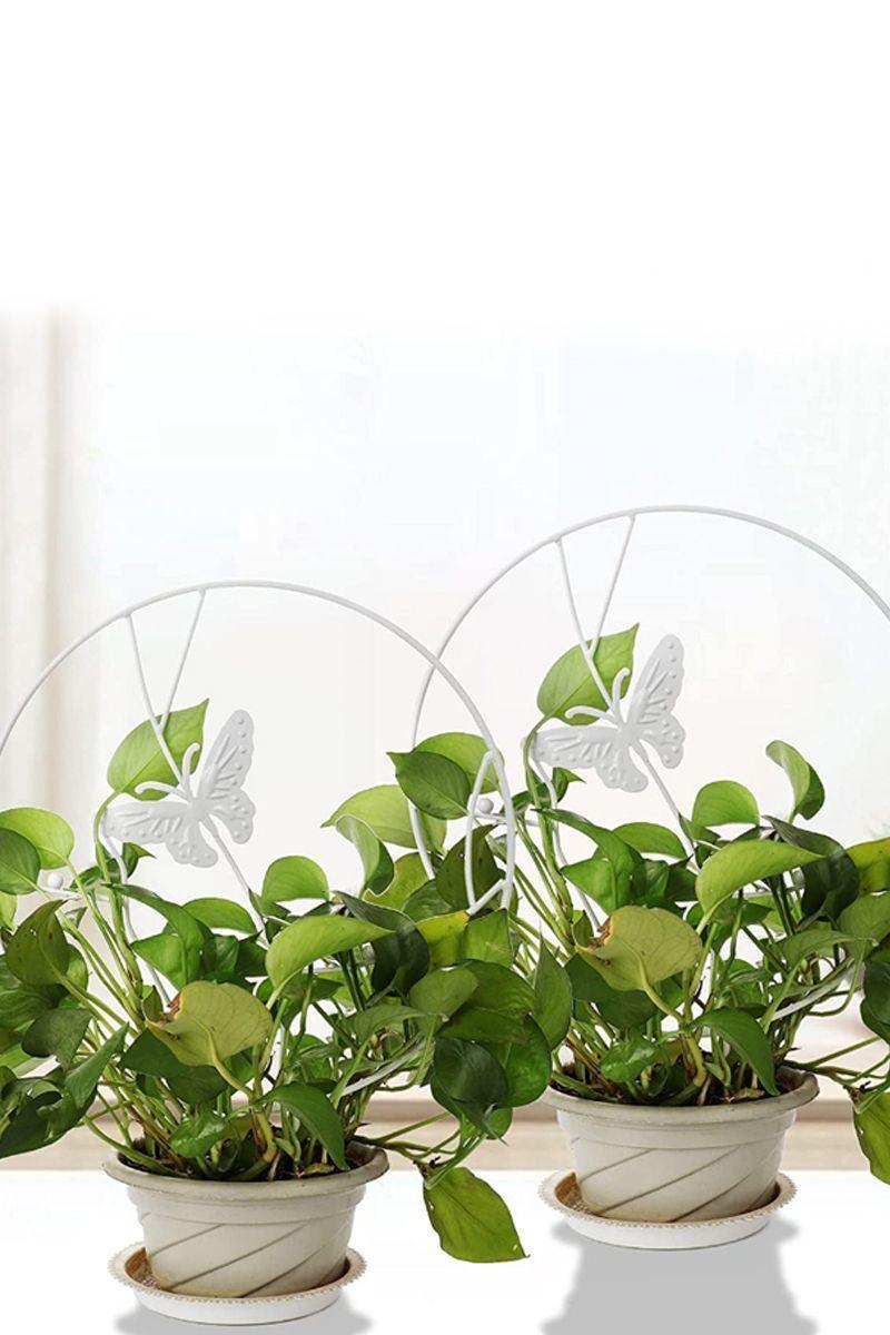 Soporte plantas trepadoras Mariposa Blanca	-4