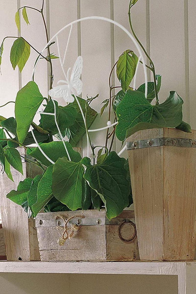 Soporte plantas trepadoras Mariposa Blanca	-3