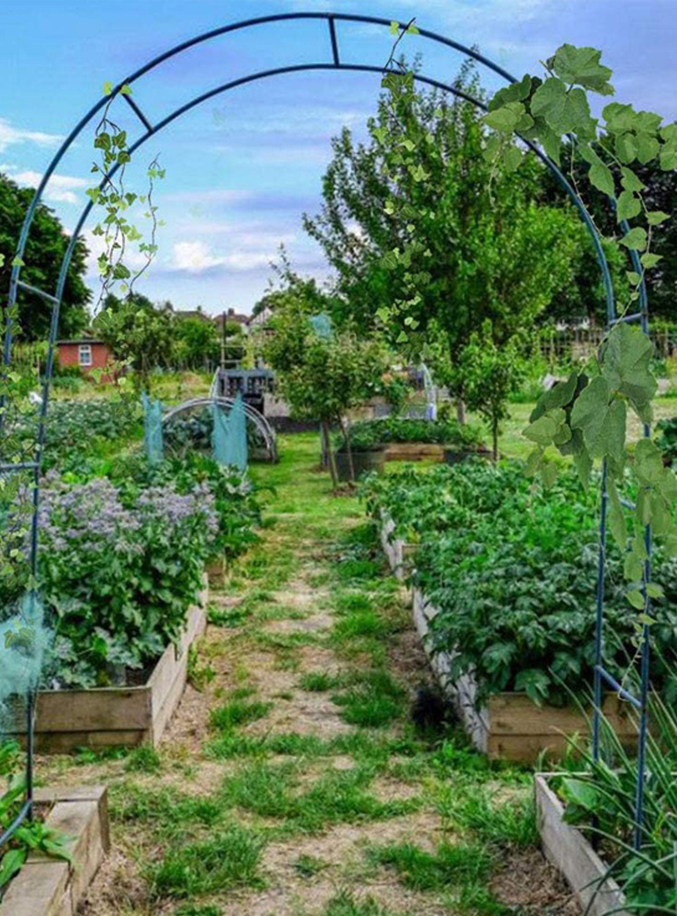 Arco jardín plantas enredaderas altura ajustable-3