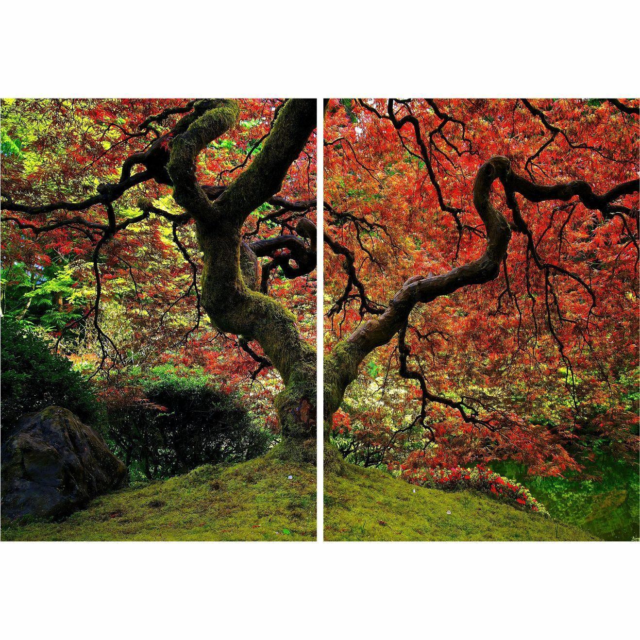Cuadro Decorativo Arbol Rojo 2Pzas-2