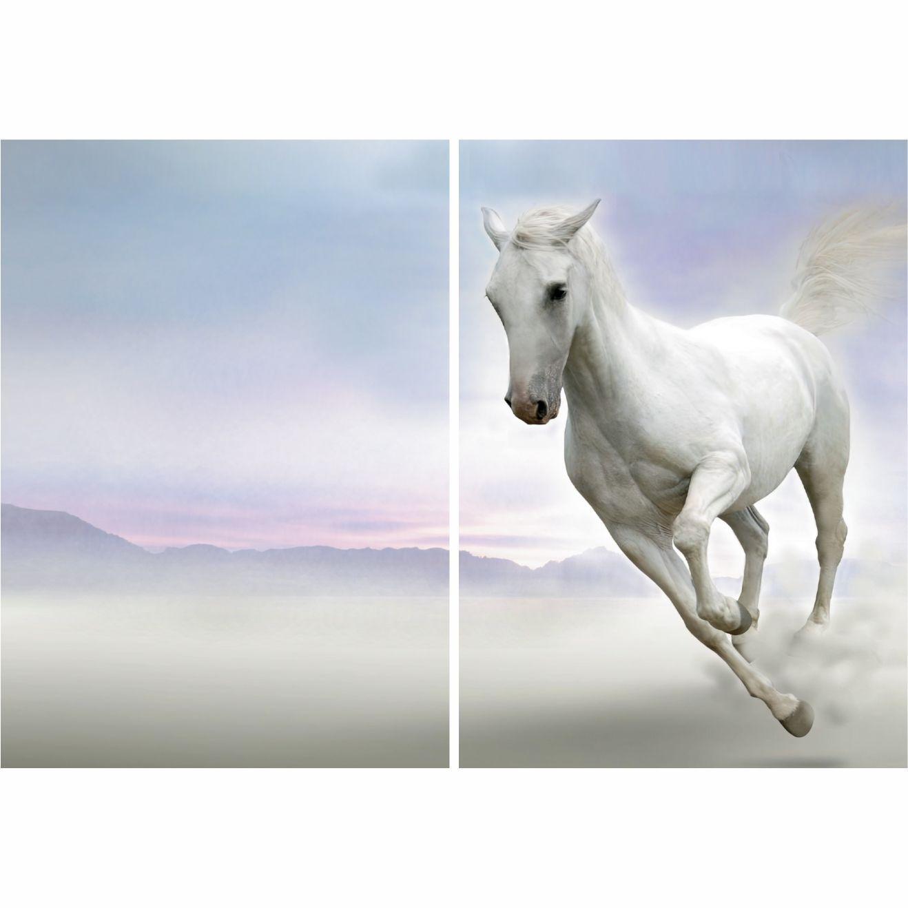 Cuadro Decorativo Paisaje Amanecer Galopante Dip.-2