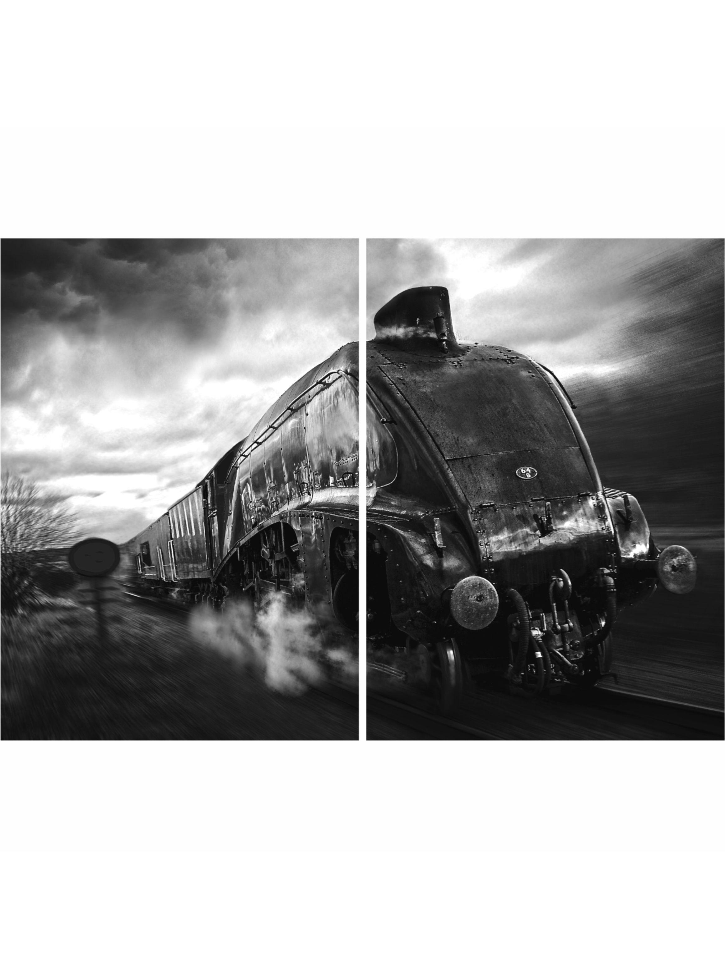 Cuadro Moderno Tren Vapor Veloz Diptico-2