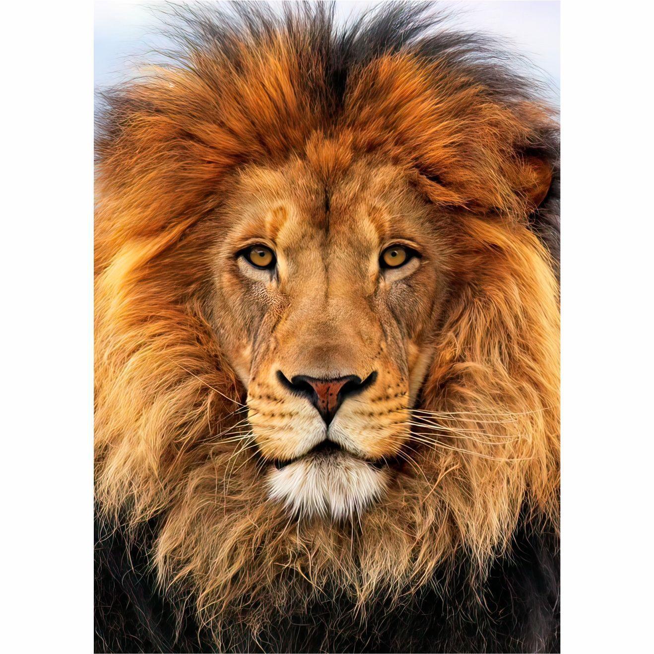 Cuadro decorativo "León"-2