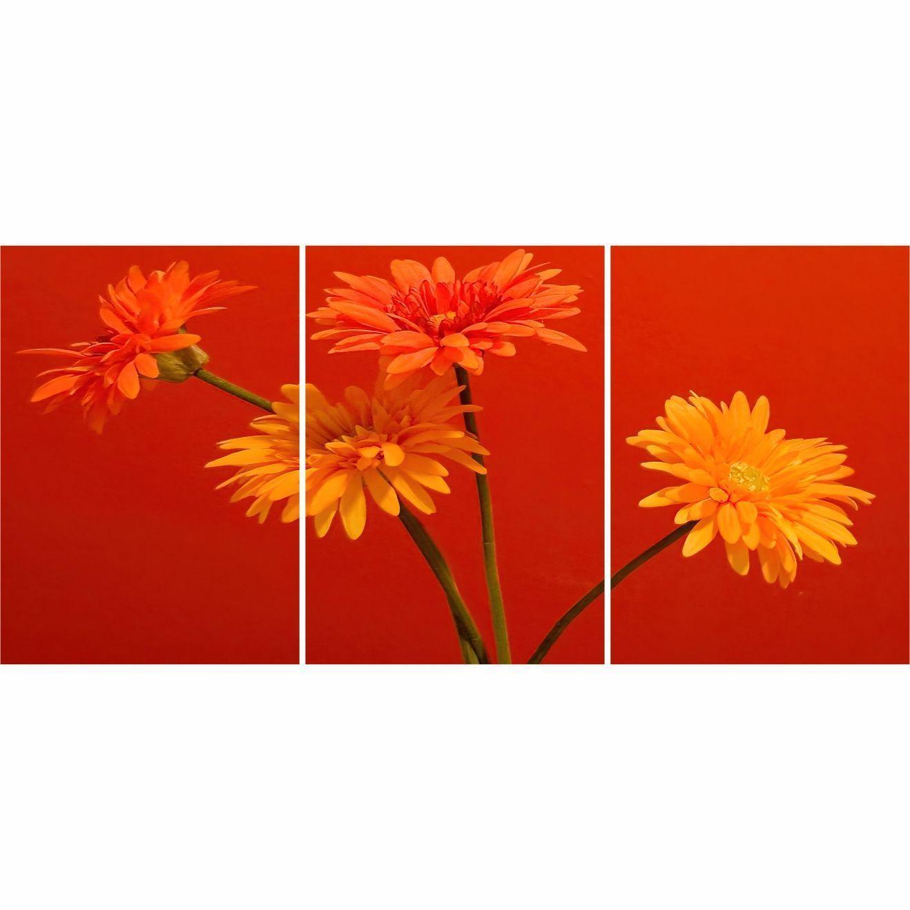 Cuadro Decorativo Moderno 4 Flores (3Pzas) -2