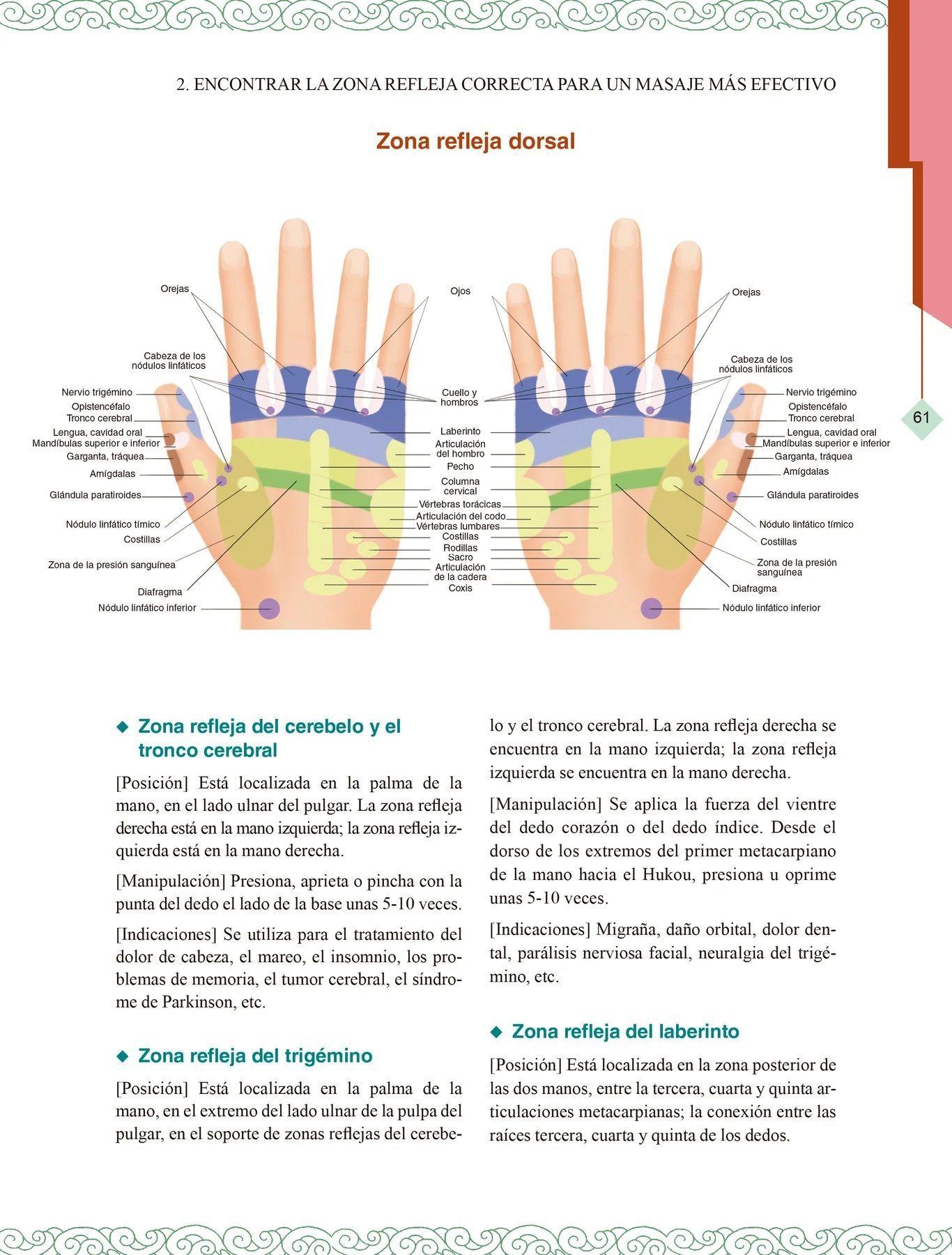 Masaje Terapeutico Efectivo. Reflexologia De Manos-2