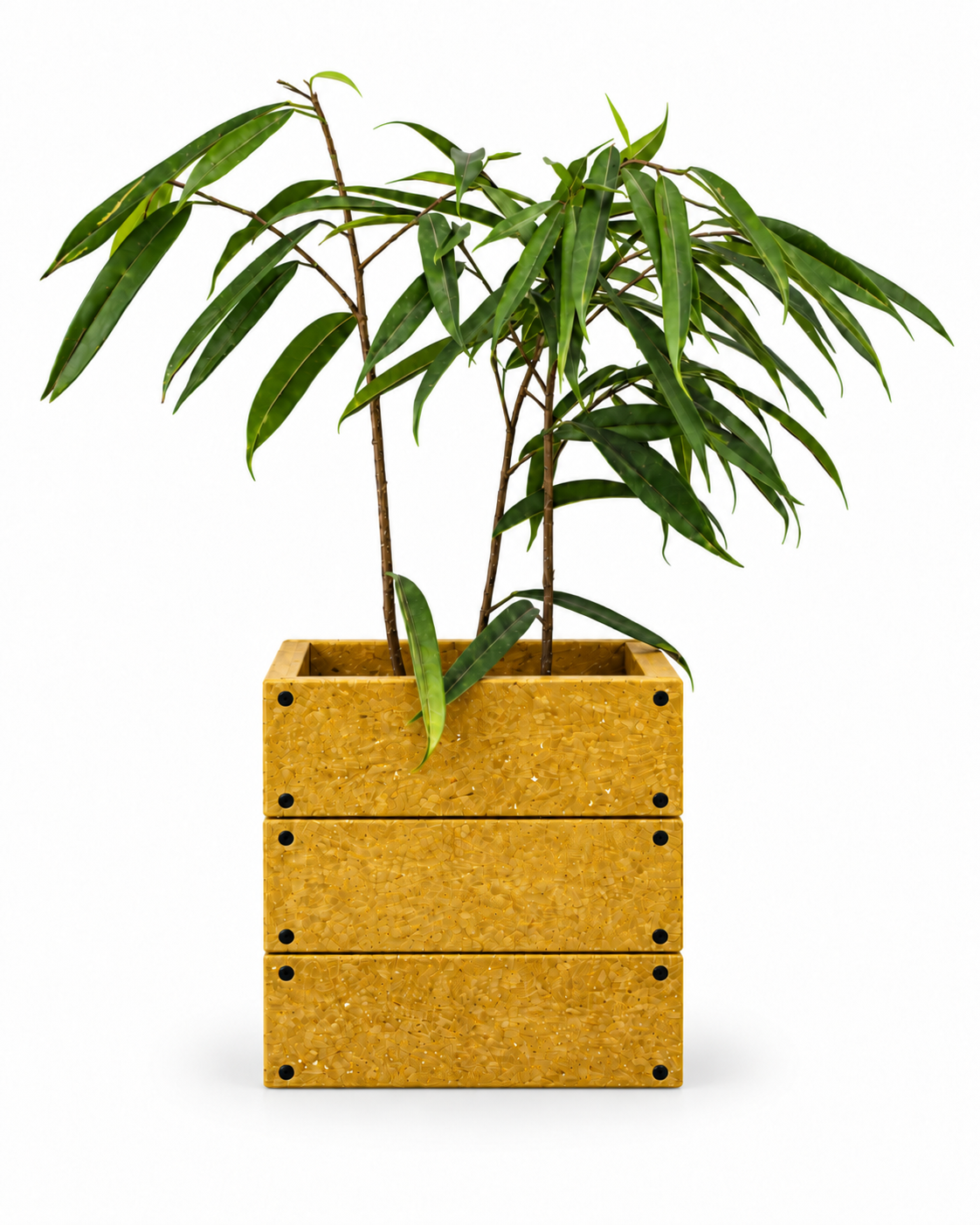 Macetero Sustentable Mostaza de plastico reciclado 30x30x30 cms-0