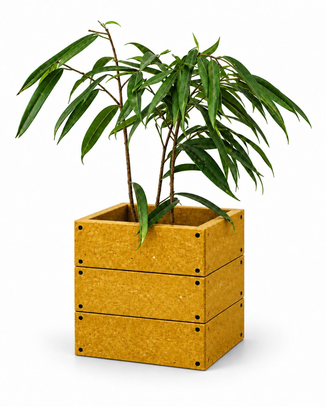Macetero Sustentable Mostaza de plastico reciclado 30x30x30 cms-1