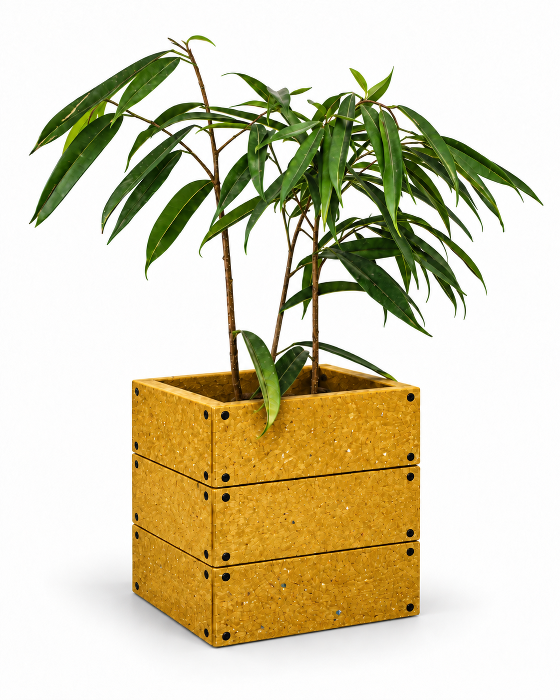 Macetero Sustentable Mostaza de plastico reciclado 30x30x30 cms-2