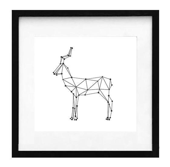 Set 4 Cuadros Negro Animales Constelación 40X40-2