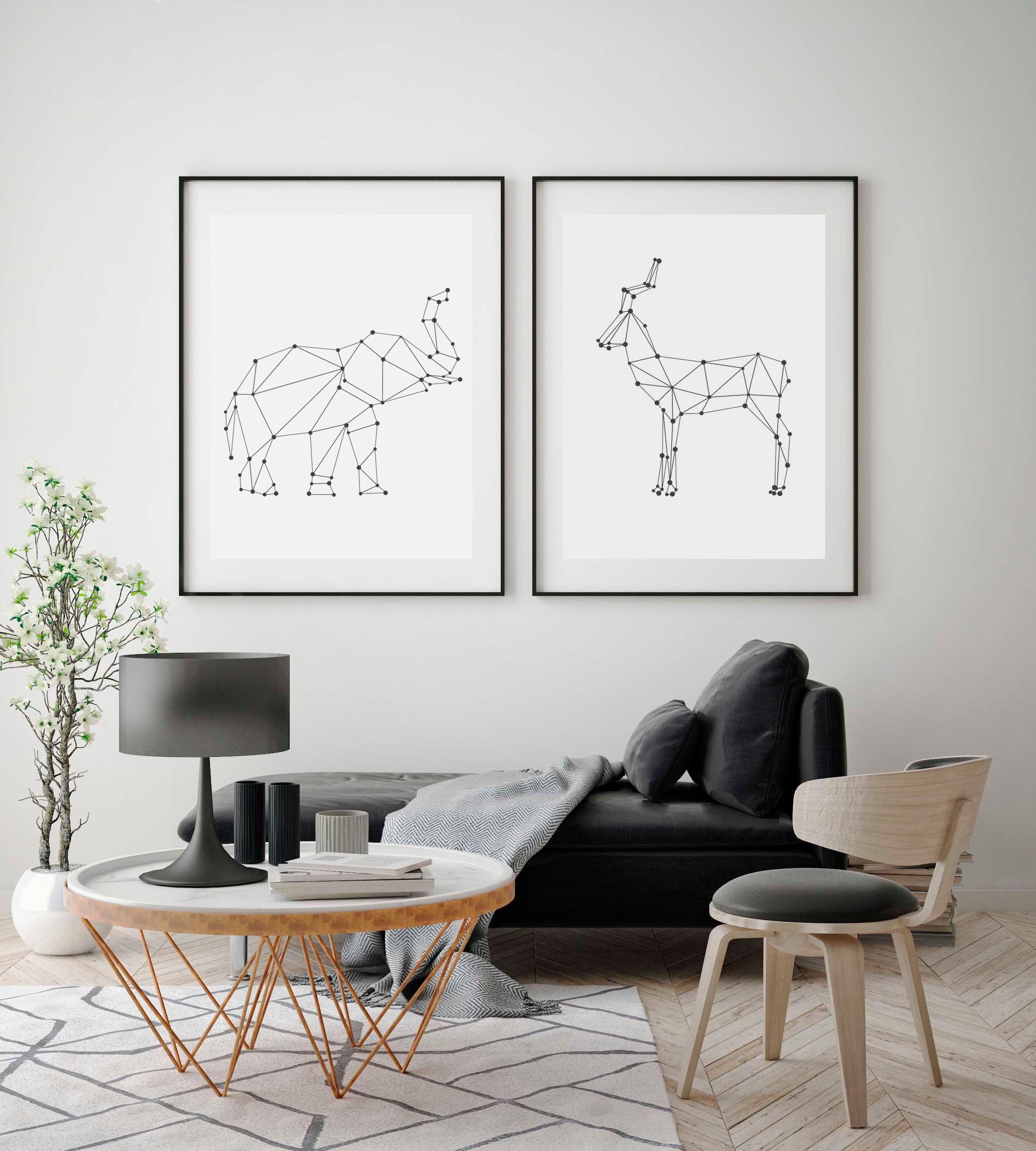 Set 4 Cuadros Negro Animales Constelación 30X30-1
