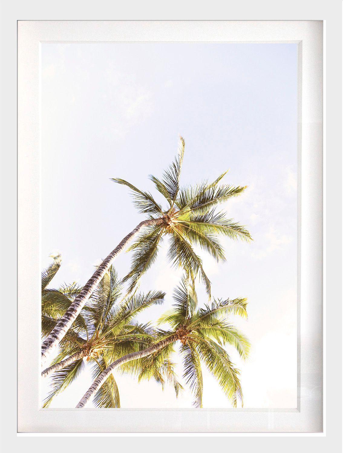 Set 3 Cuadros Paradise 40x50 Marco Blanco-2