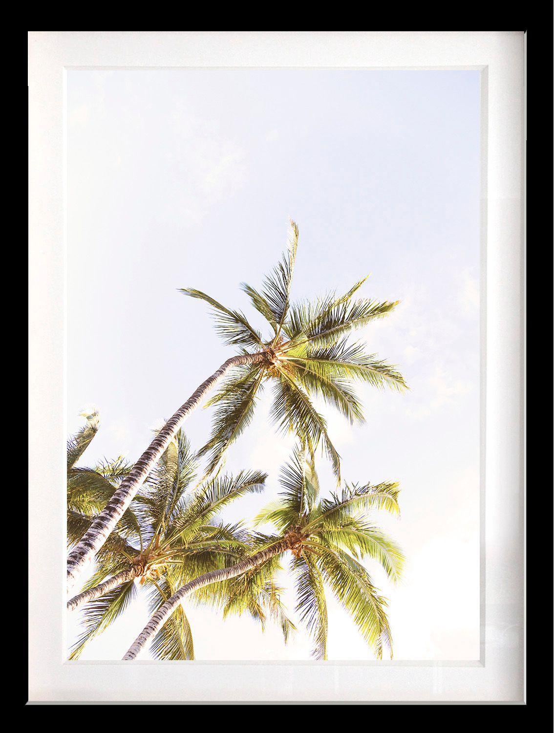 Set 3 Cuadros Paradise 30x40 Marco Negro-2